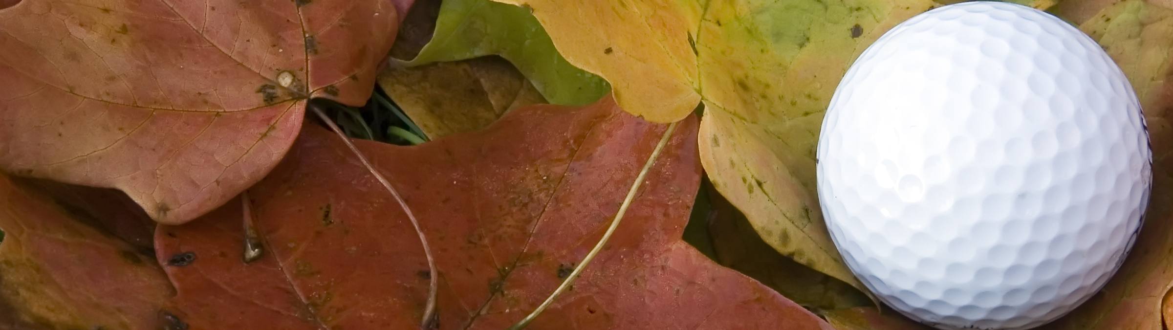 Im Herbst am Ball bleiben? Lohnt sich! Im Herbst am Ball bleiben? Lohnt sich!