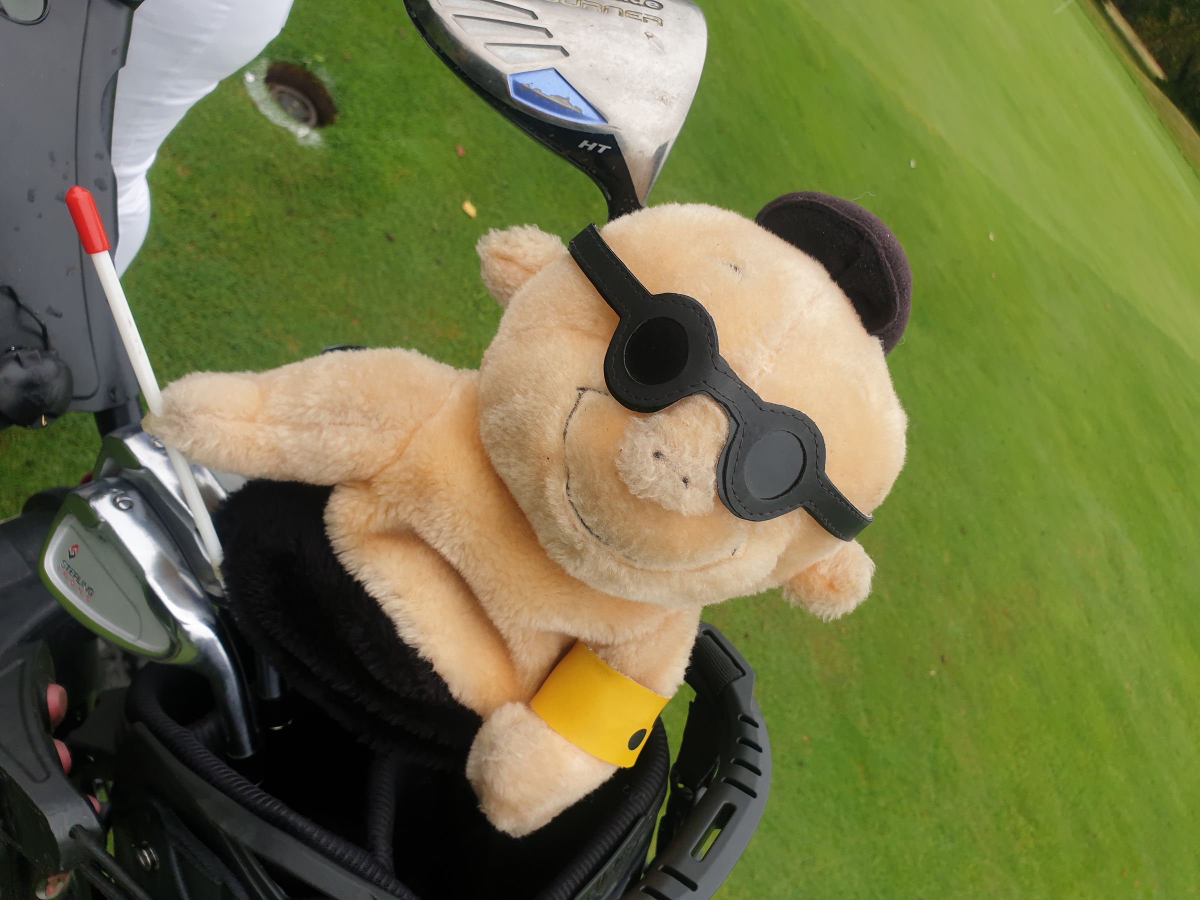 Fröhlicher Begleiter: Schlägerhaube Fröhlicher Begleiter: Schlägerhaube