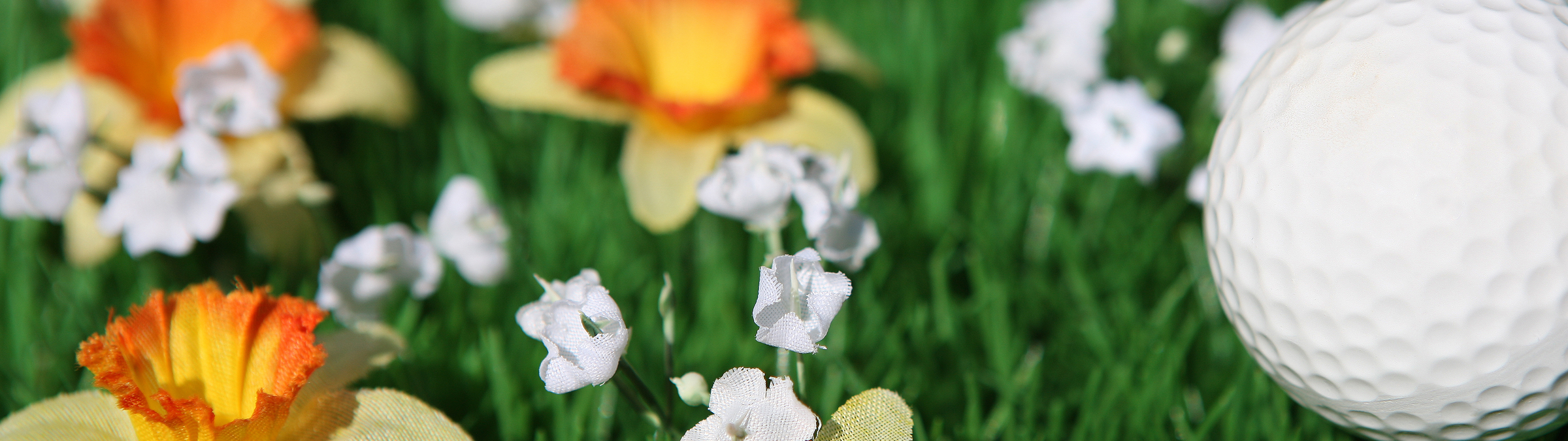 Frühlingsgefühle ... Frühlingsgefühle ...