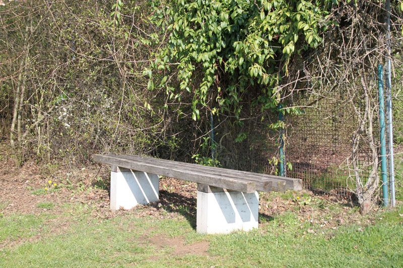 Damengolf-Kasse geplündert, Bank gestiftet Damengolf-Kasse geplündert, Bank gestiftet