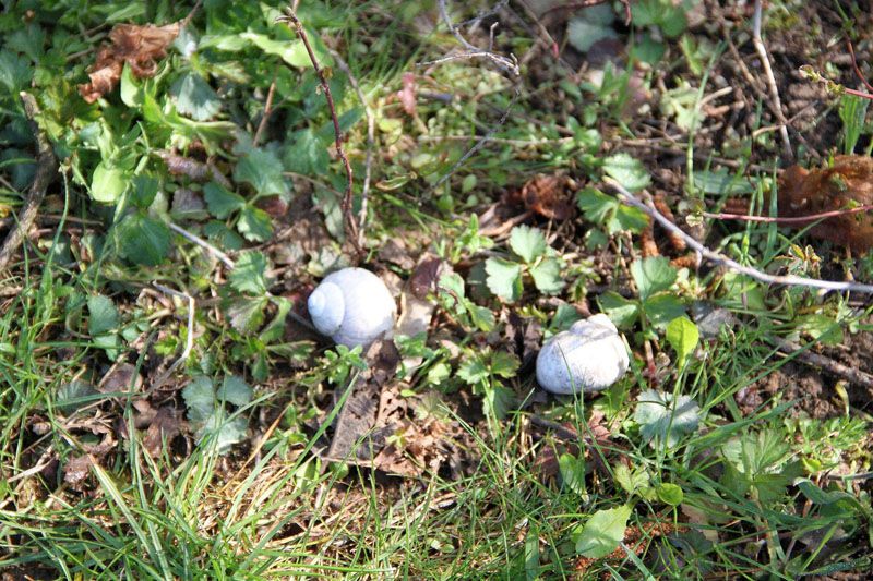 Feinschmeckerlocation Feinschmeckerlocation