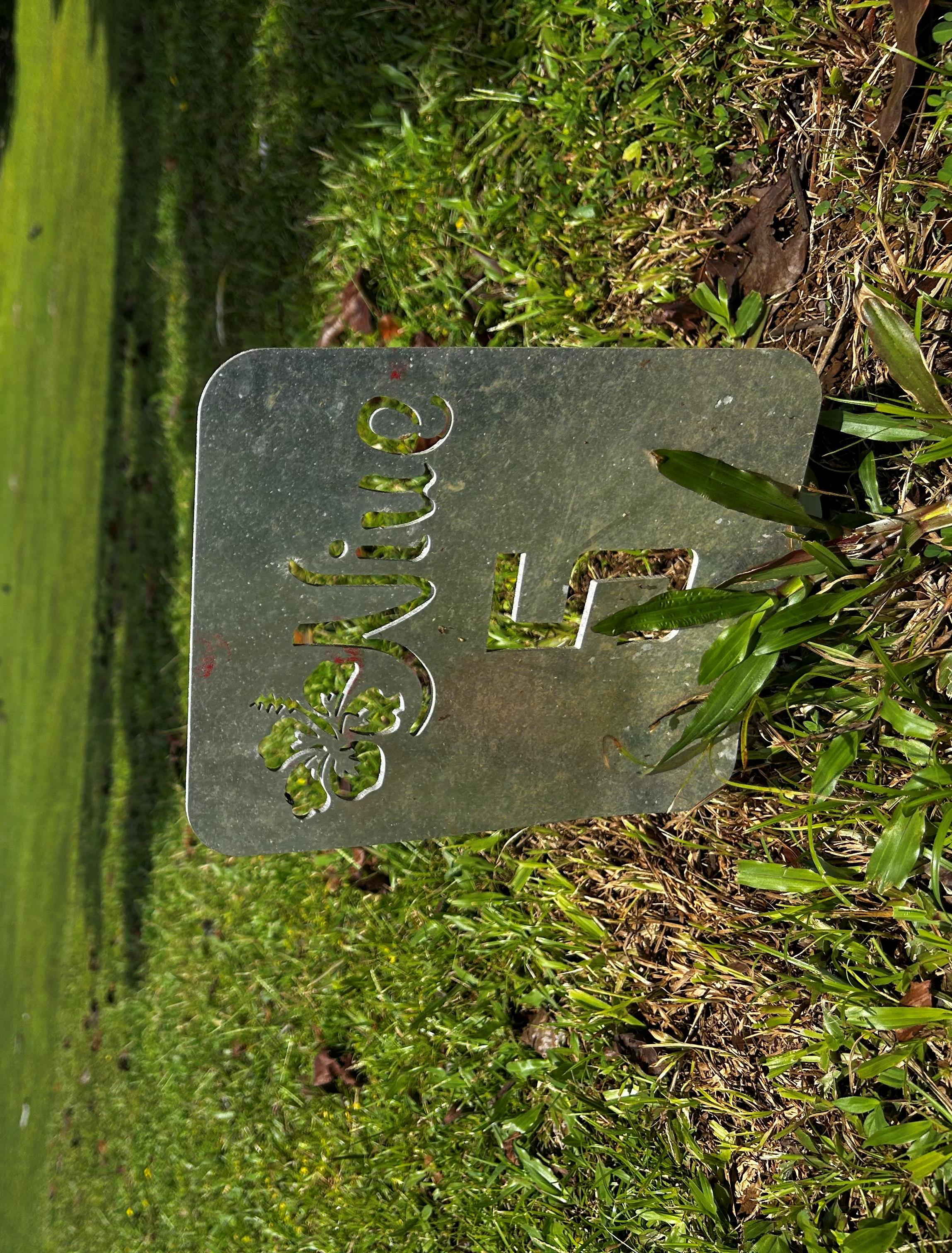 Abschlag unter Palmen Abschlag unter Palmen