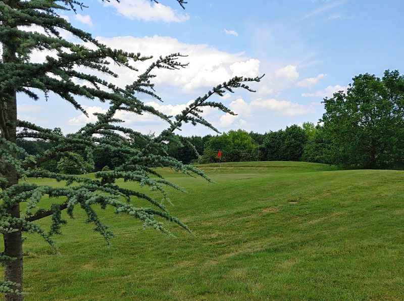 Rote Fahne im hinteren Grünbereich Rote Fahne im hinteren Grünbereich