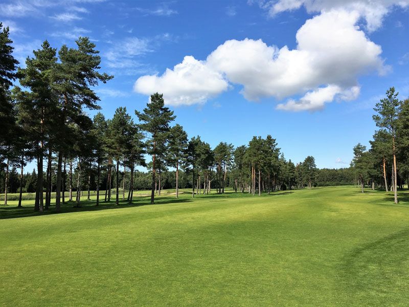 Am Rand alter, aufgelockerter Baumbestand Am Rand alter, aufgelockerter Baumbestand