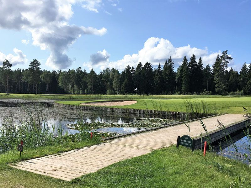 Highlight: Inselgrün an Bahn 15 Highlight: Inselgrün an Bahn 15