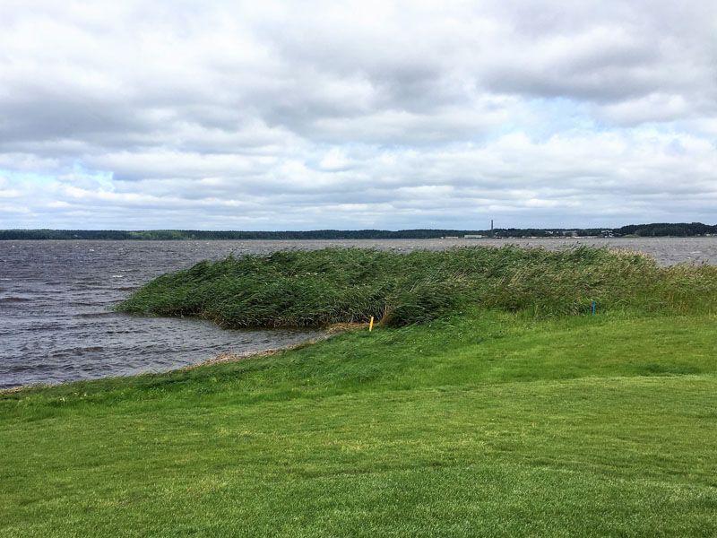 ... und dann viel Wind ... und dann viel Wind