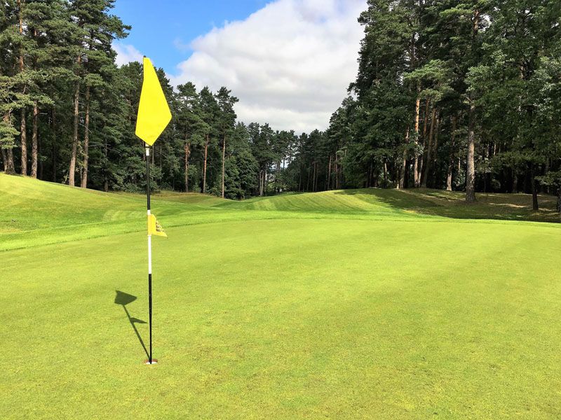 Windstille dank des Waldes Windstille dank des Waldes