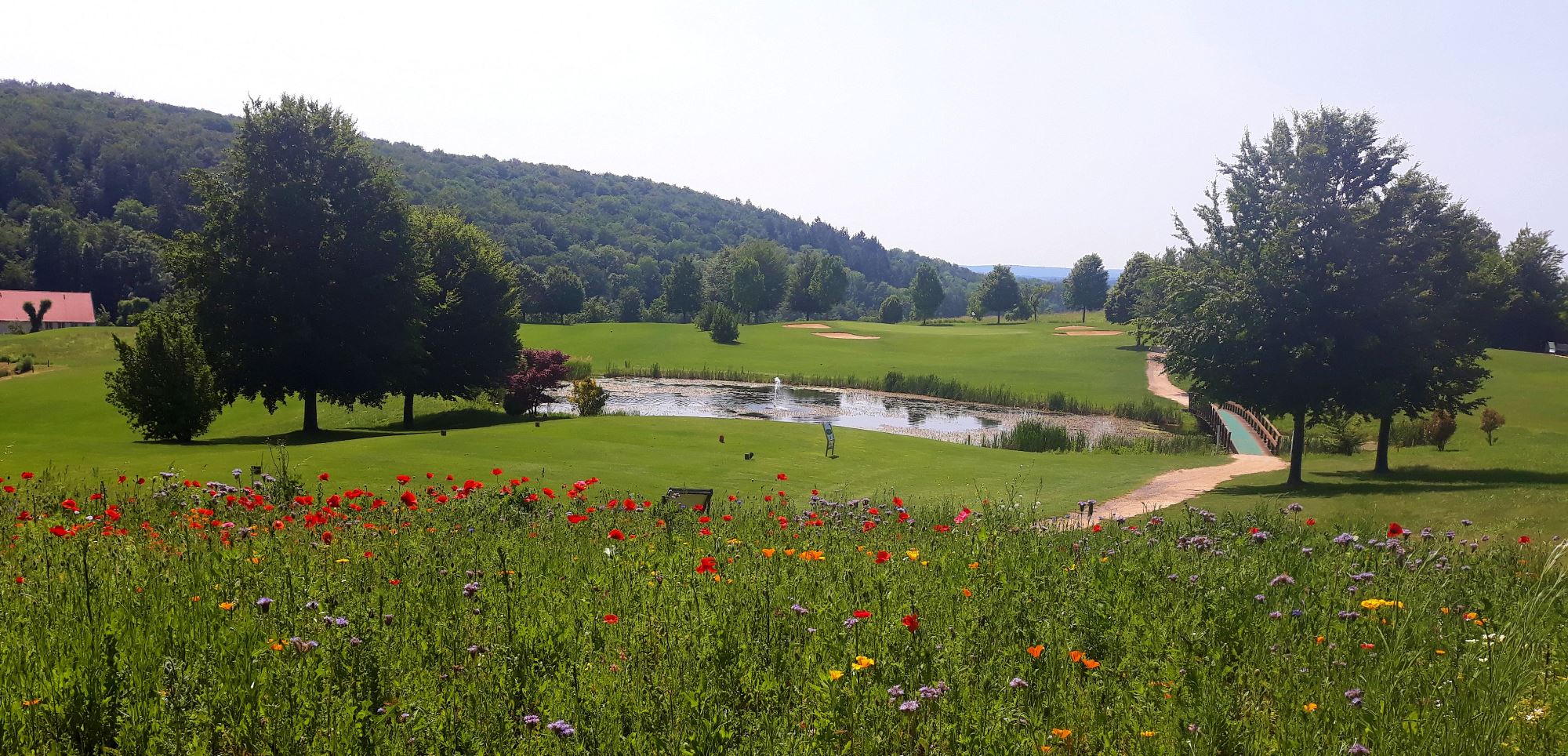 Schön & blumig Schön & blumig