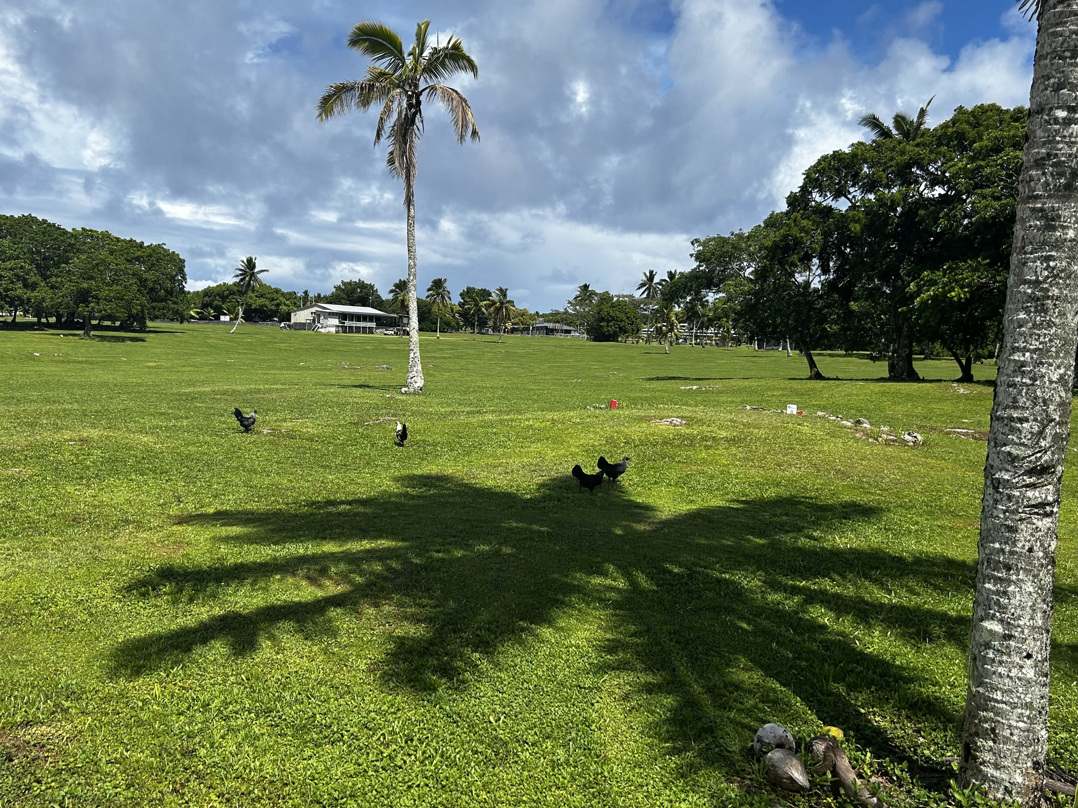 ...doch nicht ganz allein ...doch nicht ganz allein