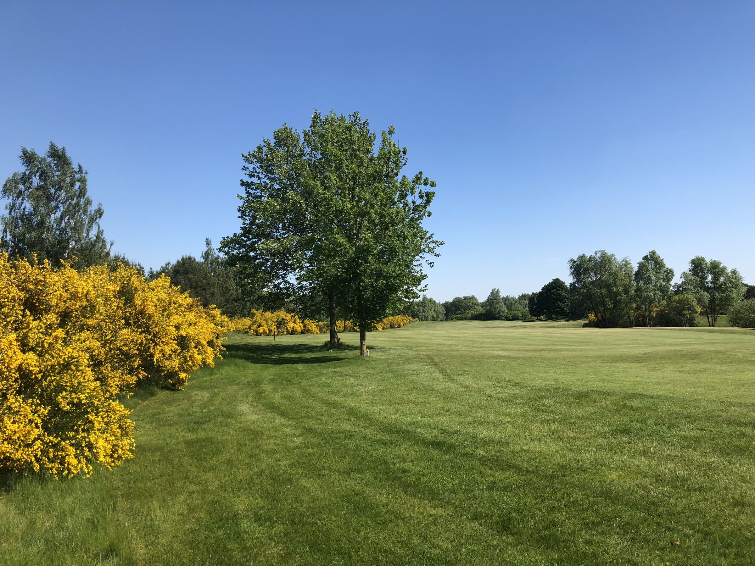 Der Fontane-Course: Bahn 1 Der Fontane-Course: Bahn 1