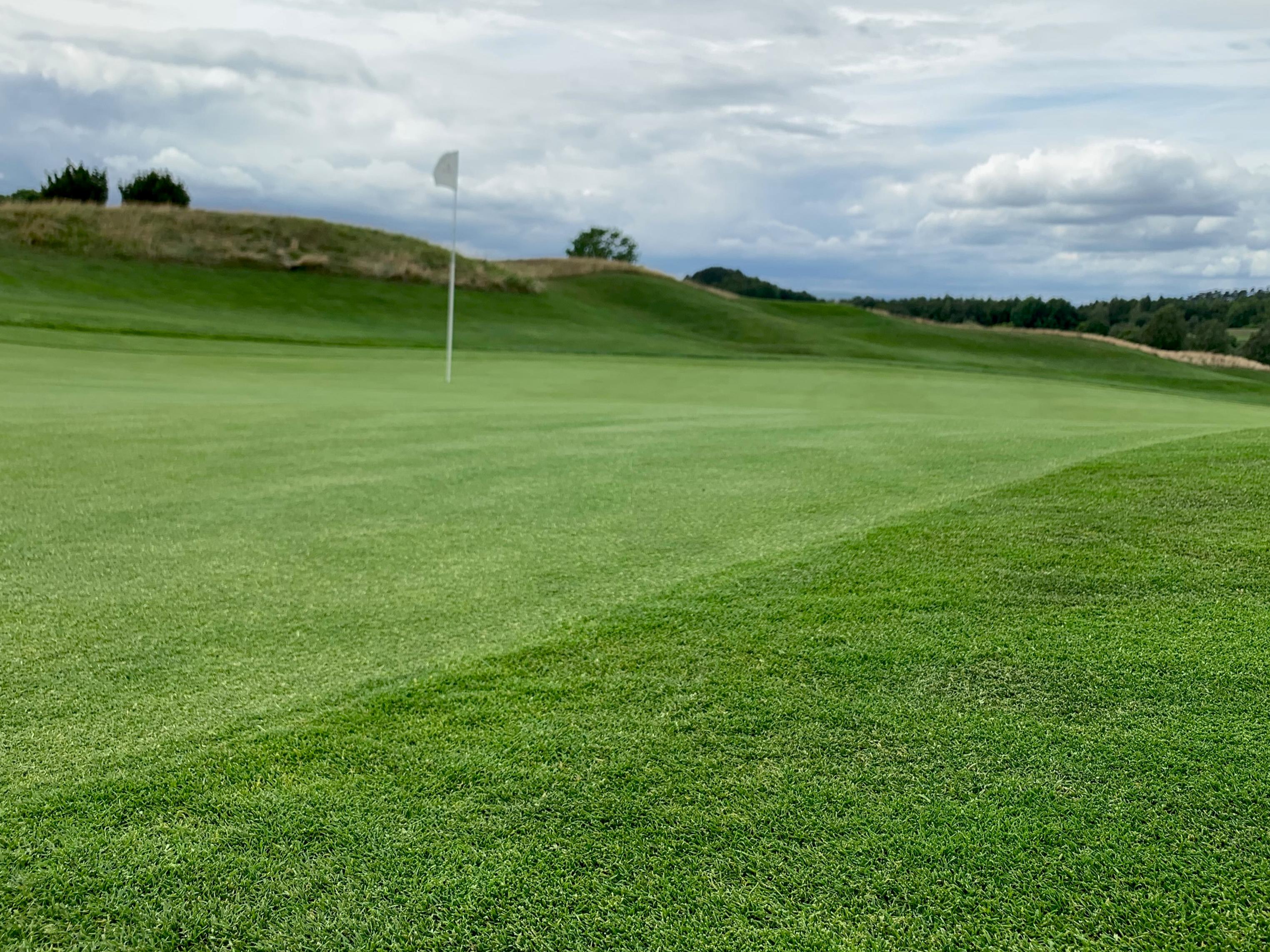 Gepflegte Grüns, Bahn 1 Gepflegte Grüns, Bahn 1