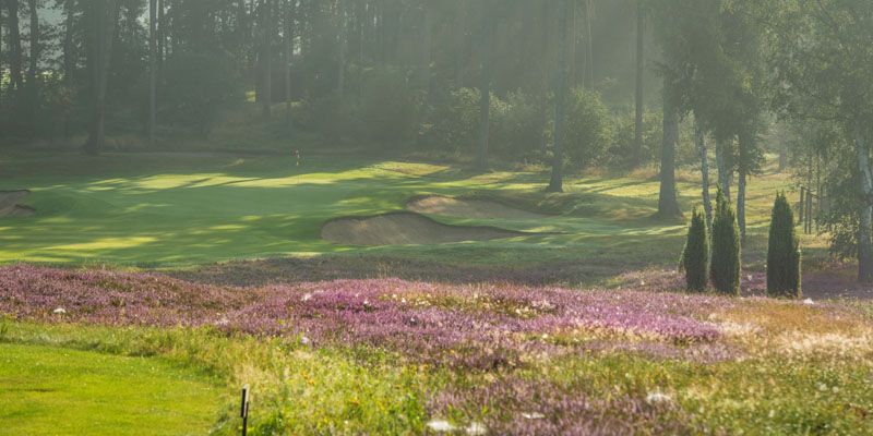 Heide und Hügel: Falkenstein Heide und Hügel: Falkenstein