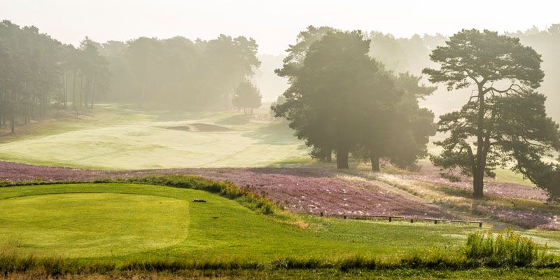 Schöner können 100 Löcher kaum sein Schöner können 100 Löcher kaum sein