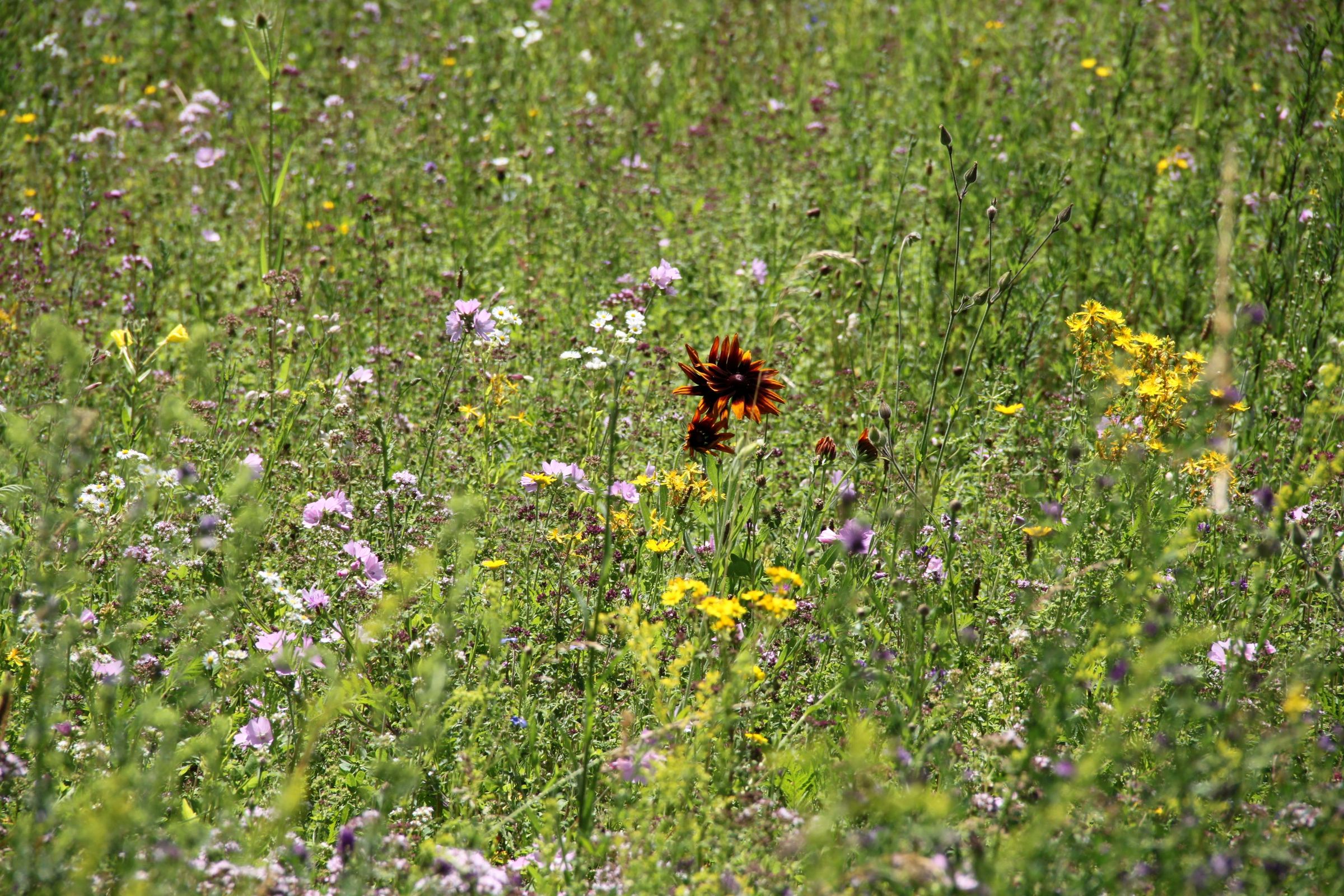 Das Leben ist bunt Das Leben ist bunt