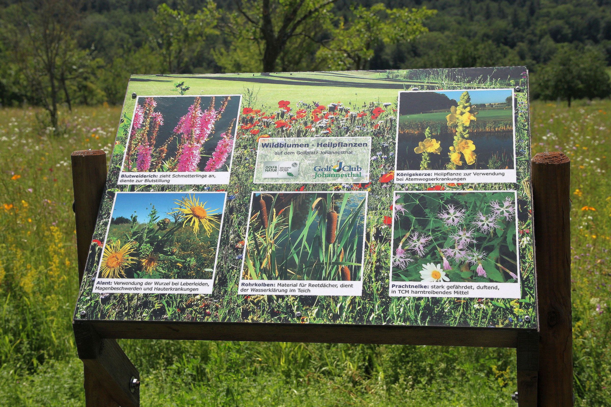 Mit Überblick Mit Überblick