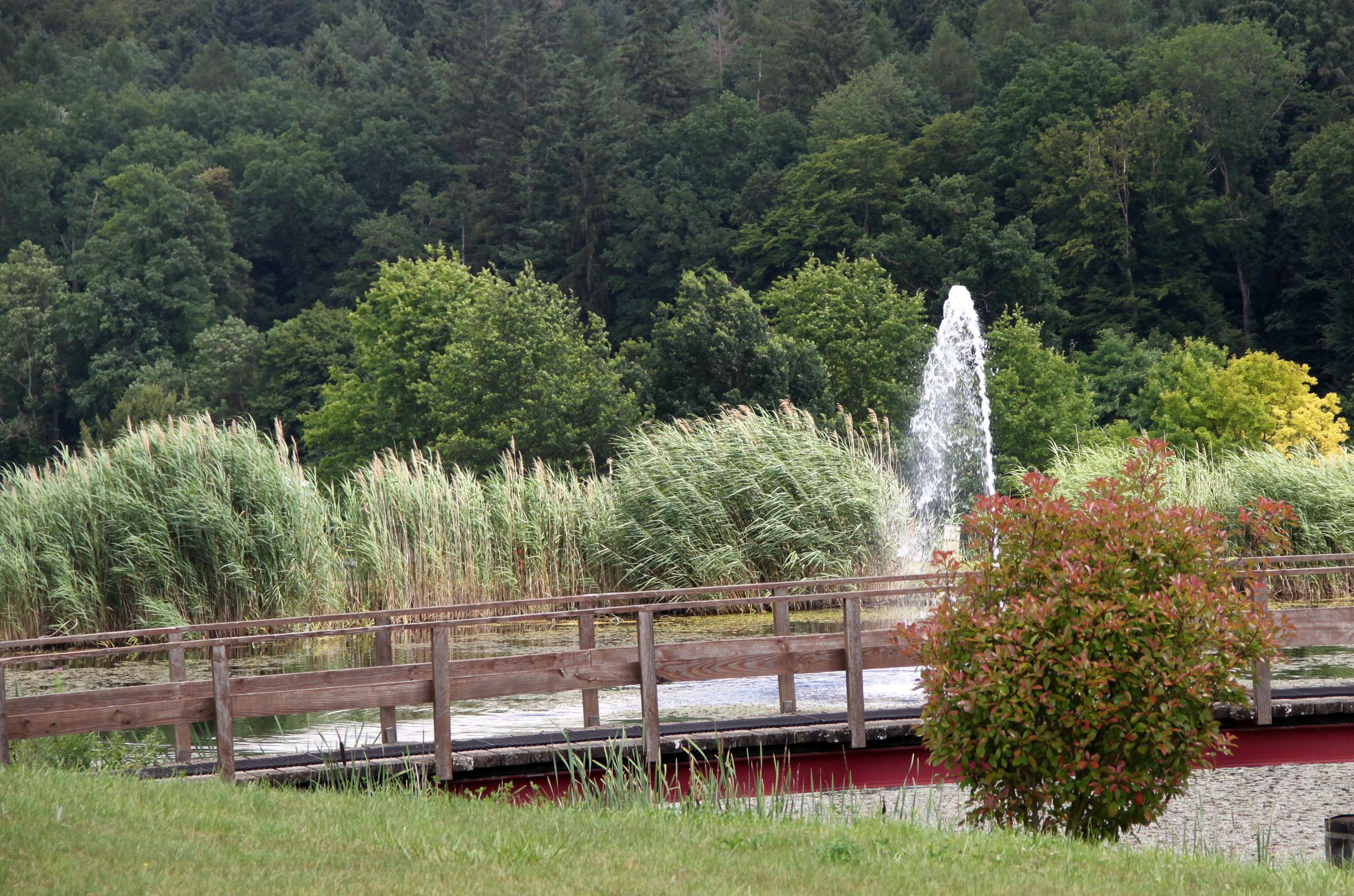 Nicht immer landet der Ball auf dem Grün Nicht immer landet der Ball auf dem Grün