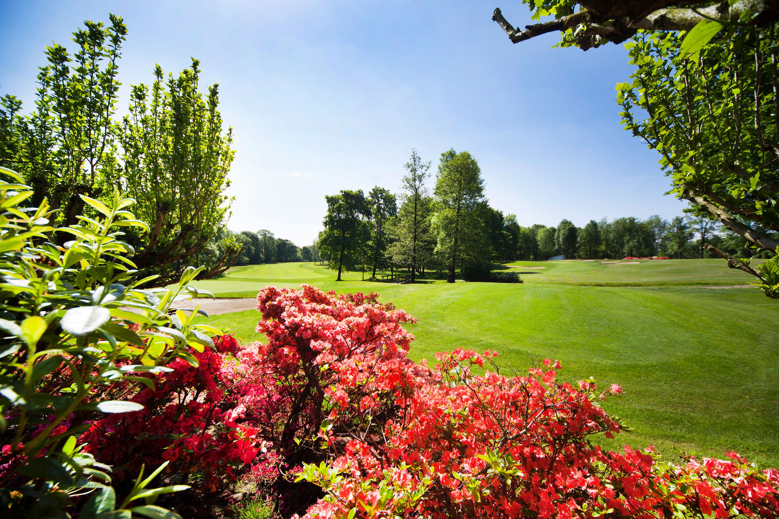 Sonnig und schön (Foto: GC Royal Park I Roveri Turin)