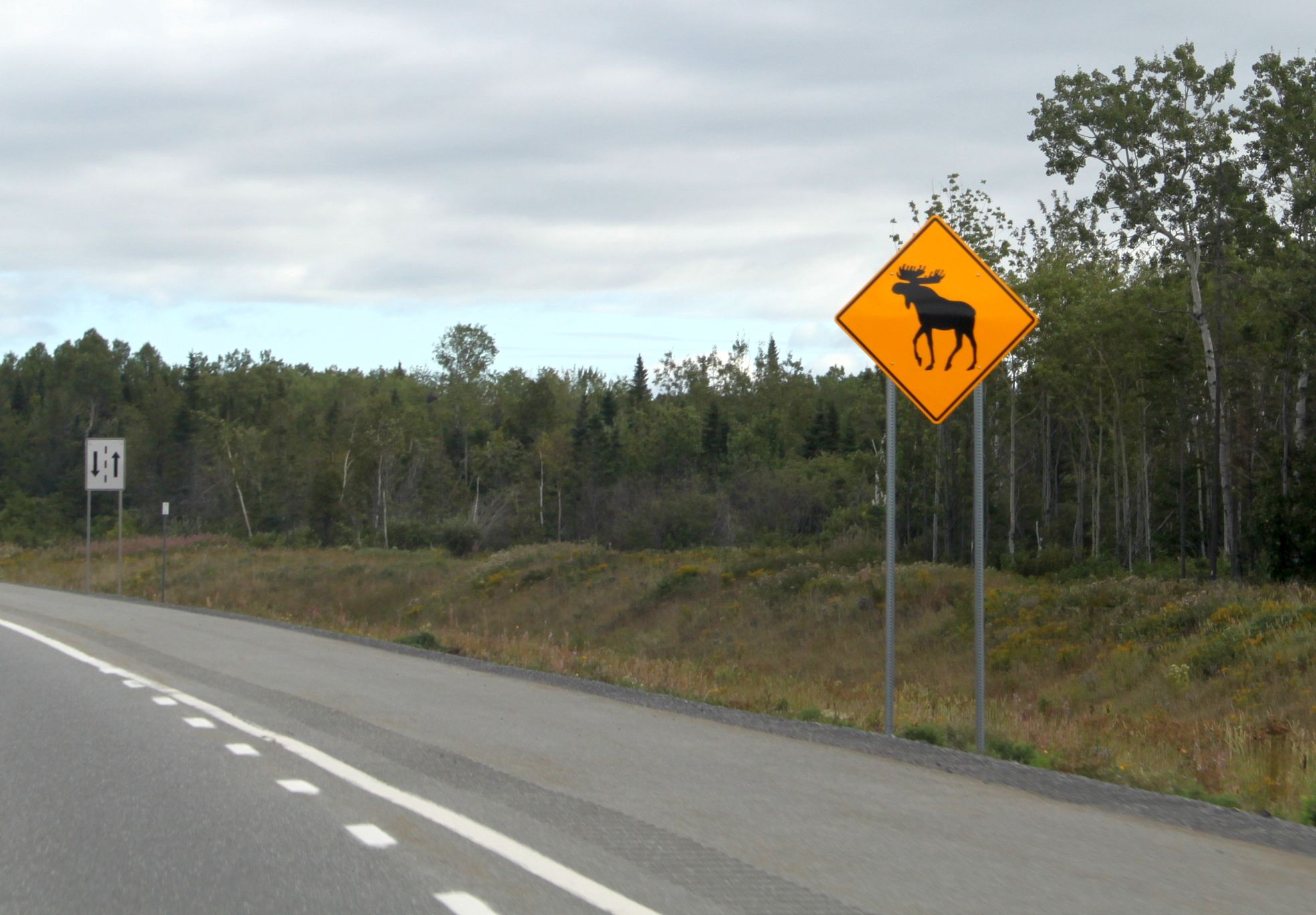 Achtung Elch! Achtung Elch!