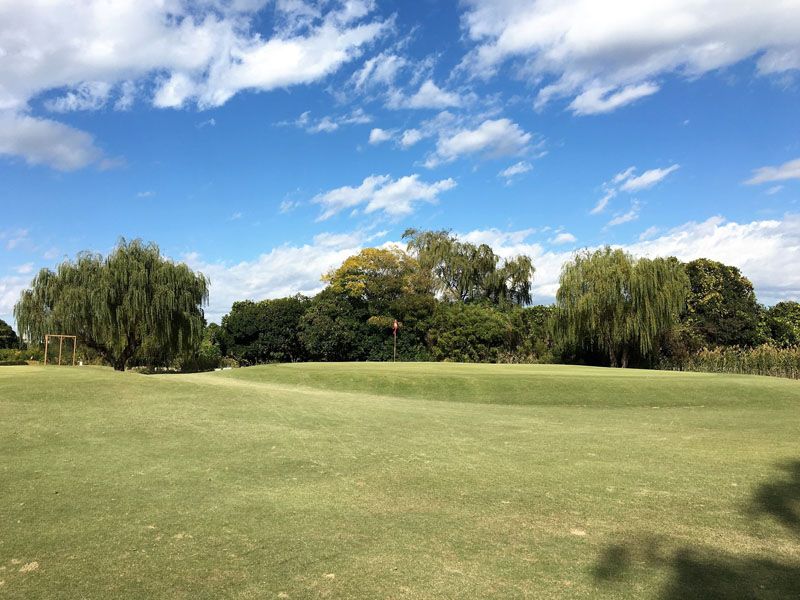 Schön hier - landestypische Bäume und Pflanzen Schön hier - landestypische Bäume und Pflanzen