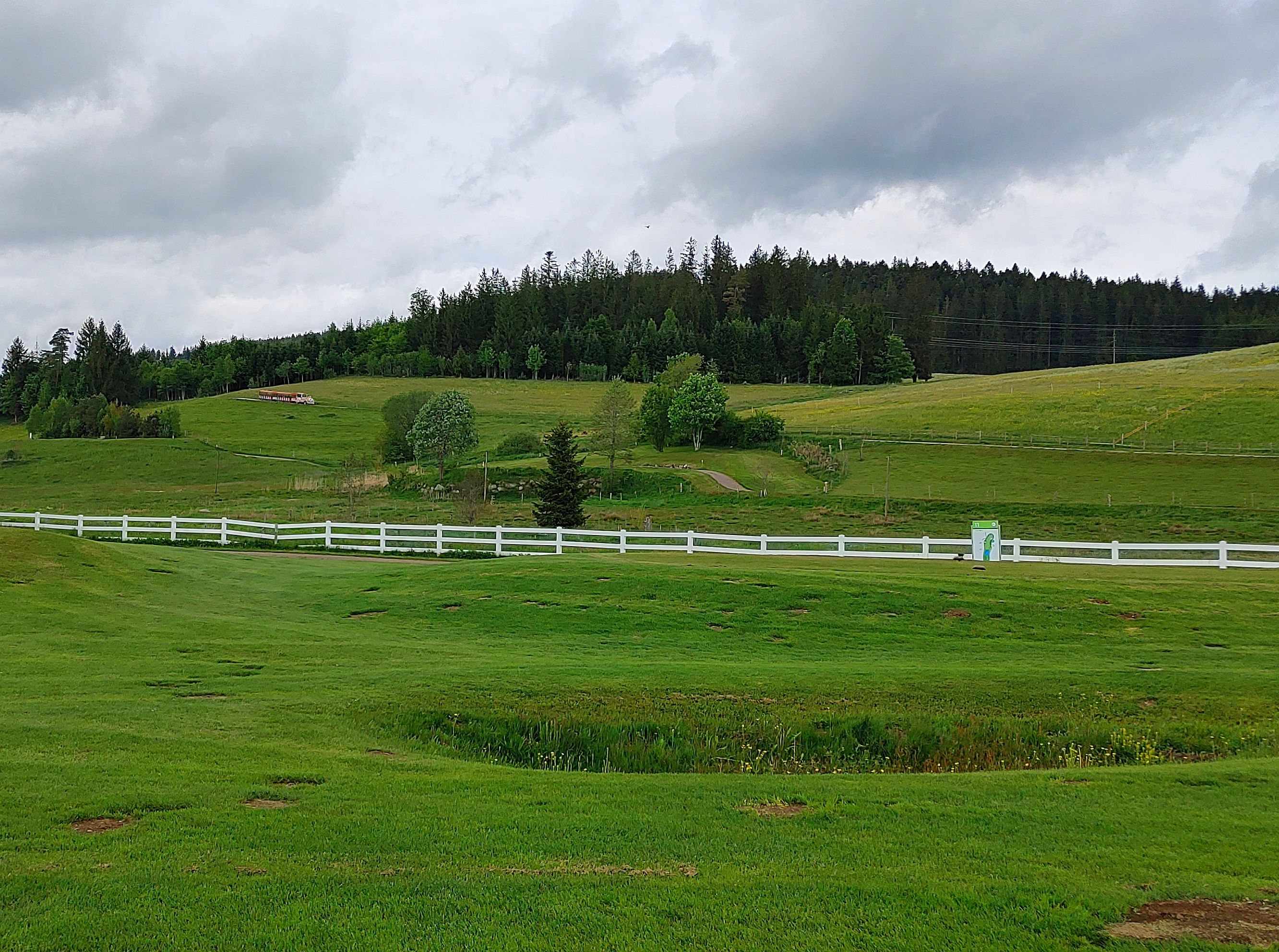 Überraschende Feuchtgebiete für Nichtgolfende Schwarzwaldrundfahrt Überraschende Feuchtgebiete für Nichtgolfende Schwarzwaldrundfahrt