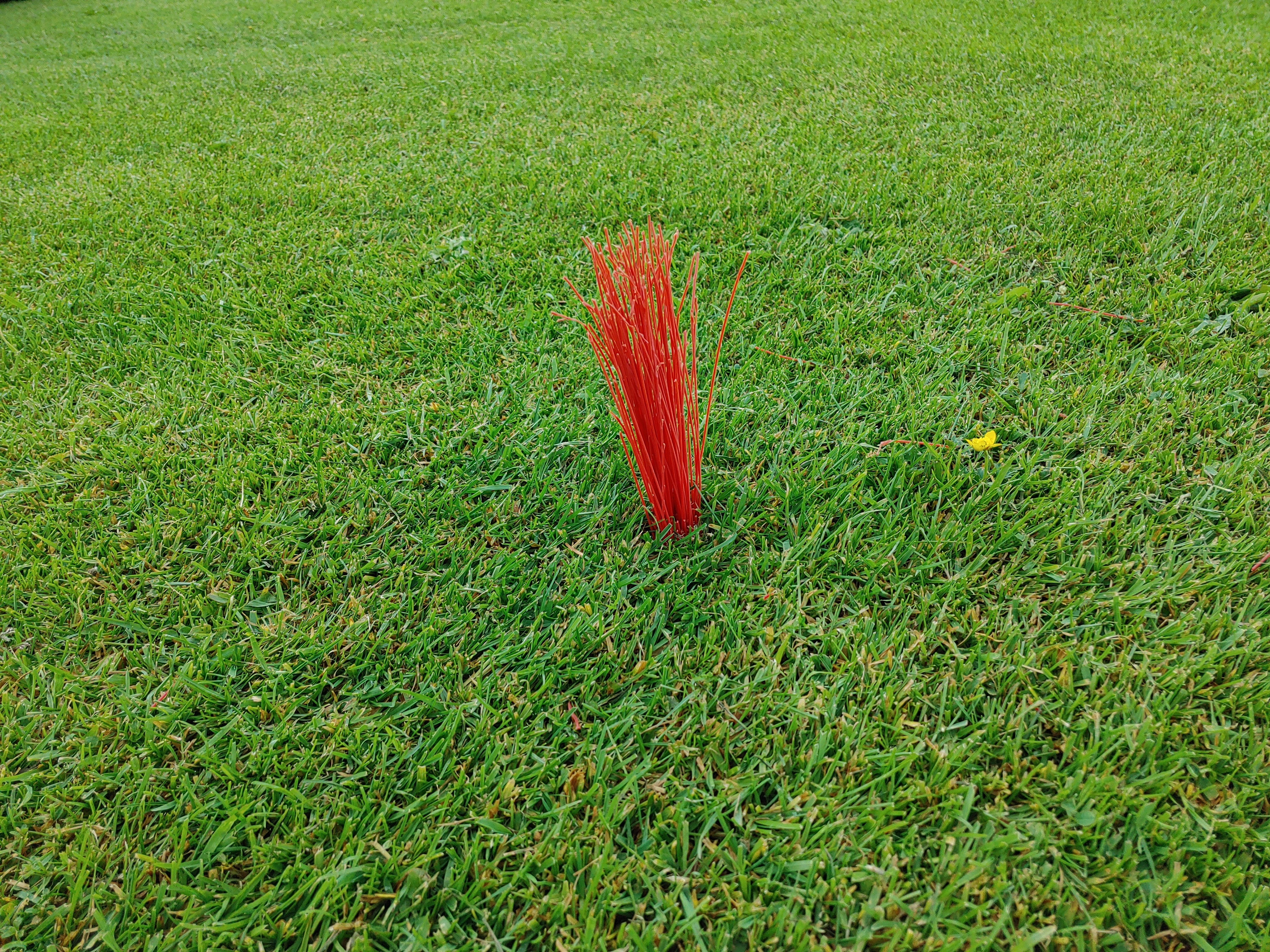 Ungewohnt: Entfernungsmarkierung per Farbbüsche Ungewohnt: Entfernungsmarkierung per Farbbüsche