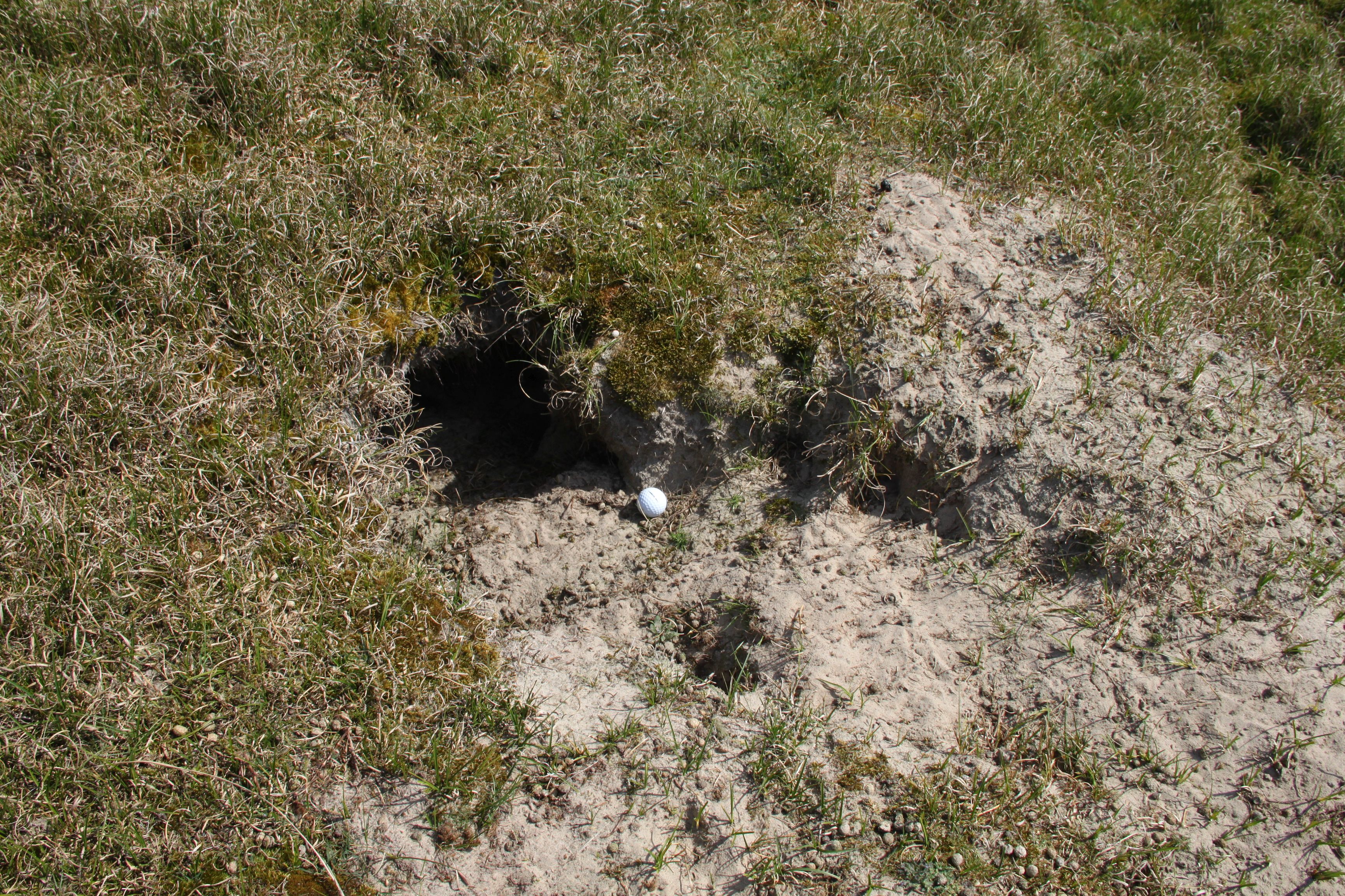 Fünf Zentimeter zwischen spielbar und Ballverlust Fünf Zentimeter zwischen spielbar und Ballverlust