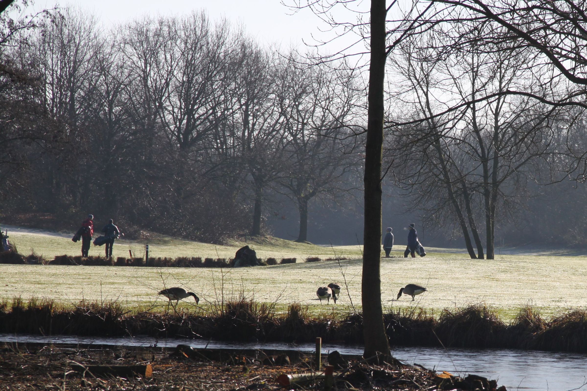 Bei Mensch und Tier beliebt Bei Mensch und Tier beliebt