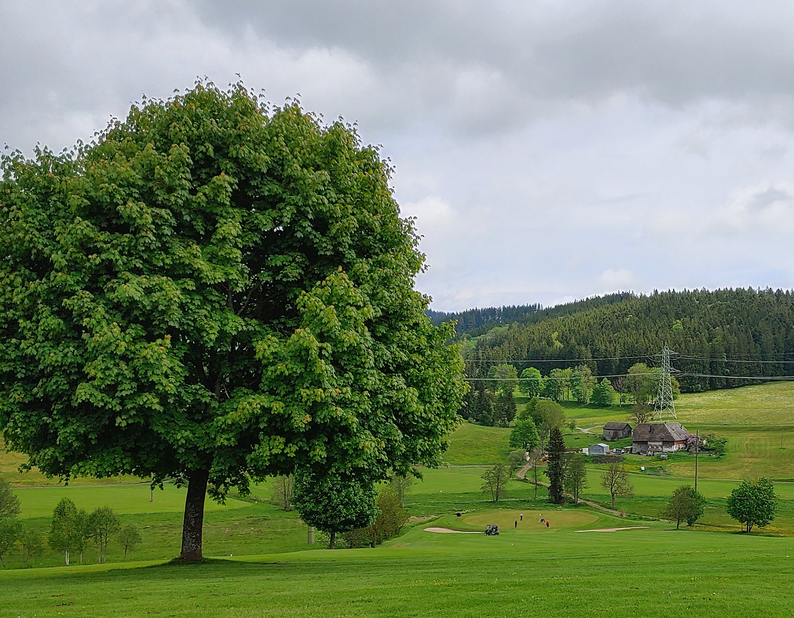 Alles nicht ganz flach Alles nicht ganz flach