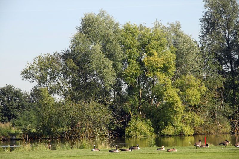 Nicht jeder findet ein Wasserloch bedrohlich Nicht jeder findet ein Wasserloch bedrohlich