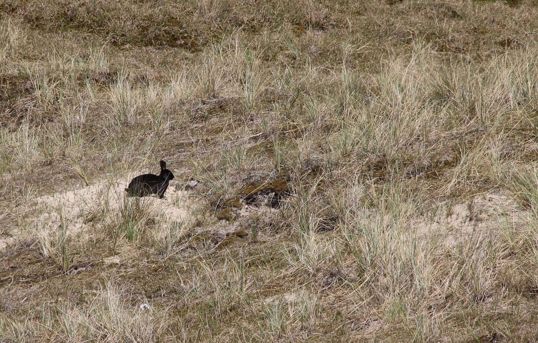 Schöne Farbe - Standortnachteil Schöne Farbe - Standortnachteil