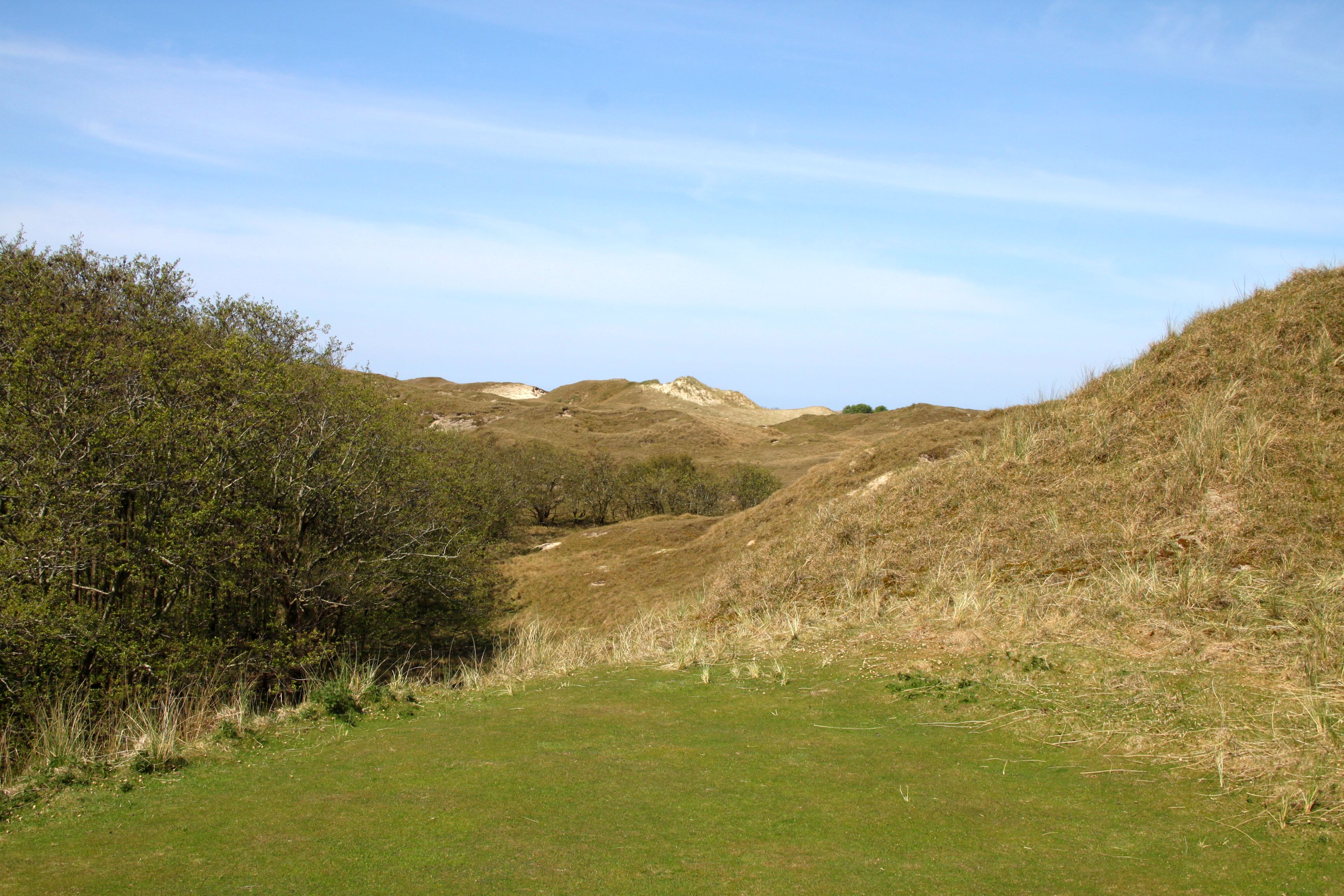 Da kann man schon mal den Überblick verlieren Da kann man schon mal den Überblick verlieren