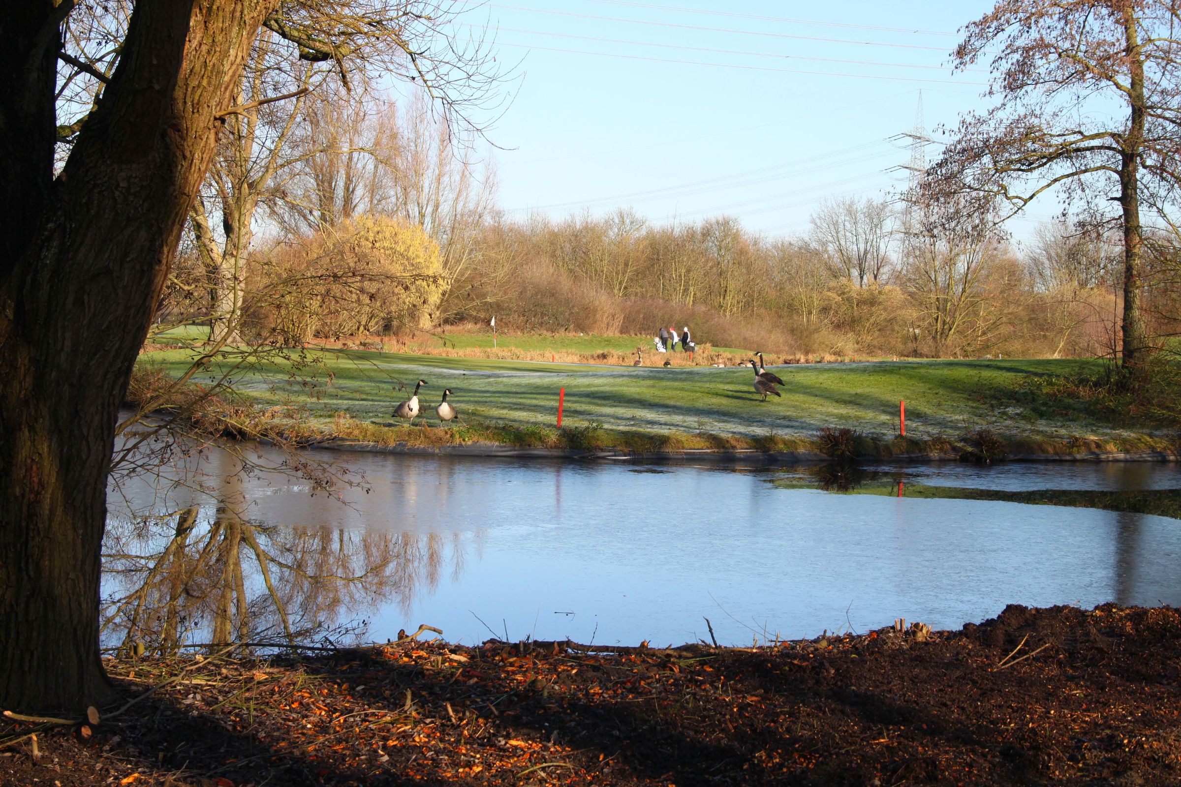 ... und unser Inselgrün ... und unser Inselgrün