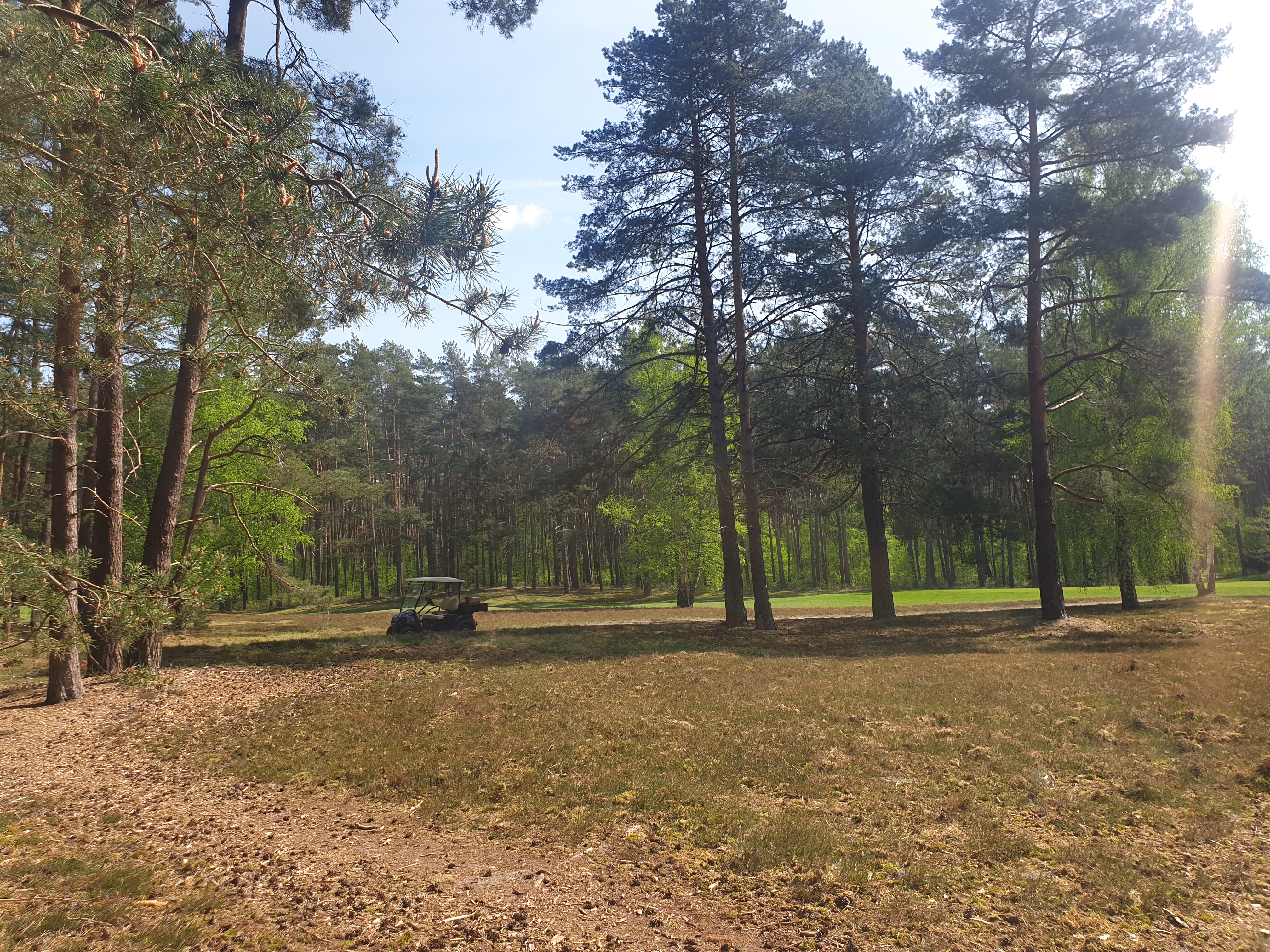 Besonders idyllisch wird es, wenn die Heide blüht Besonders idyllisch wird es, wenn die Heide blüht