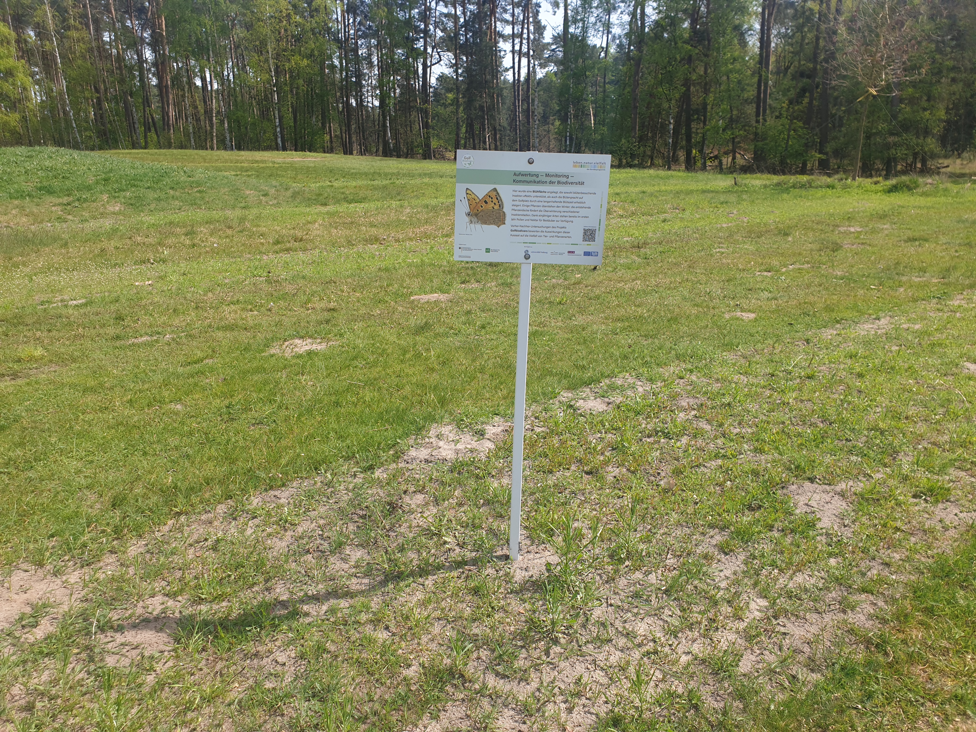 Gern gesehen: Infos zu Flora und Fauna Gern gesehen: Infos zu Flora und Fauna