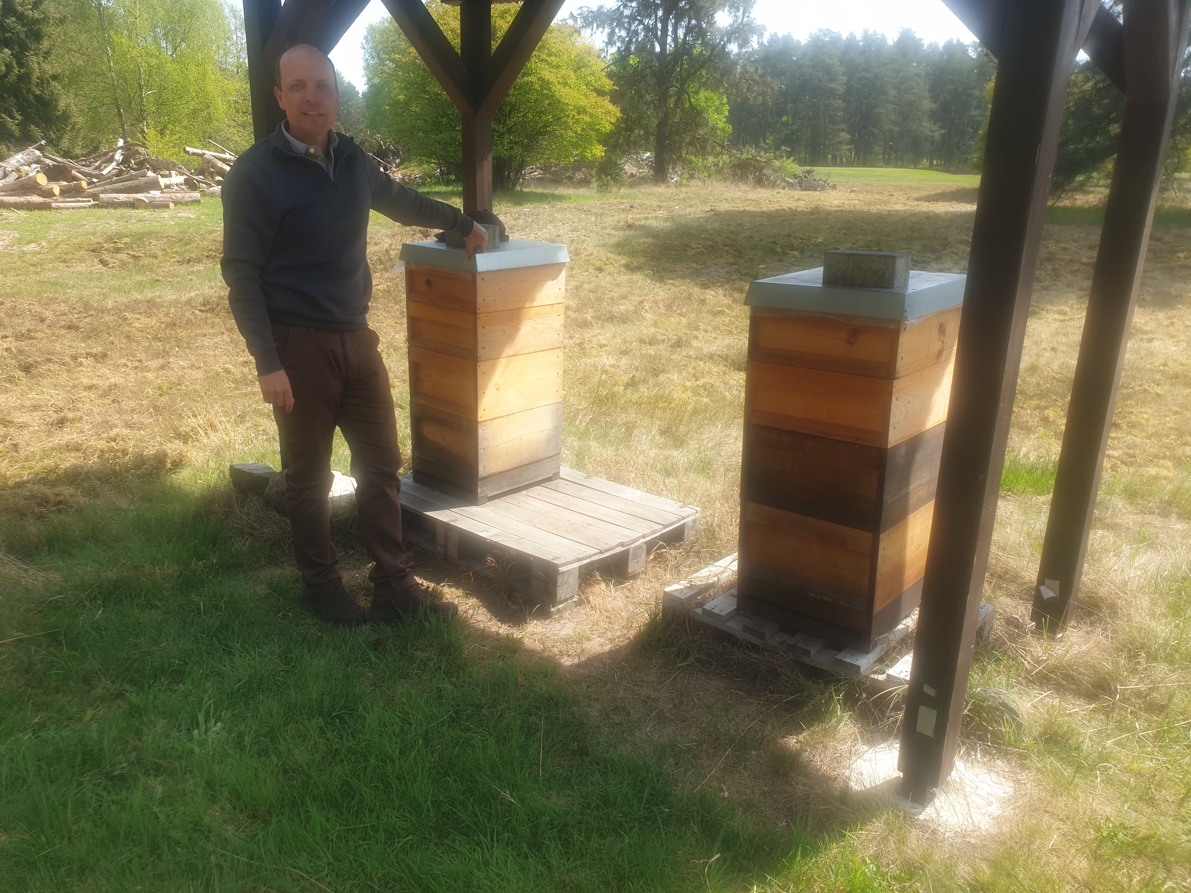 Fleißige Bienen Fleißige Bienen