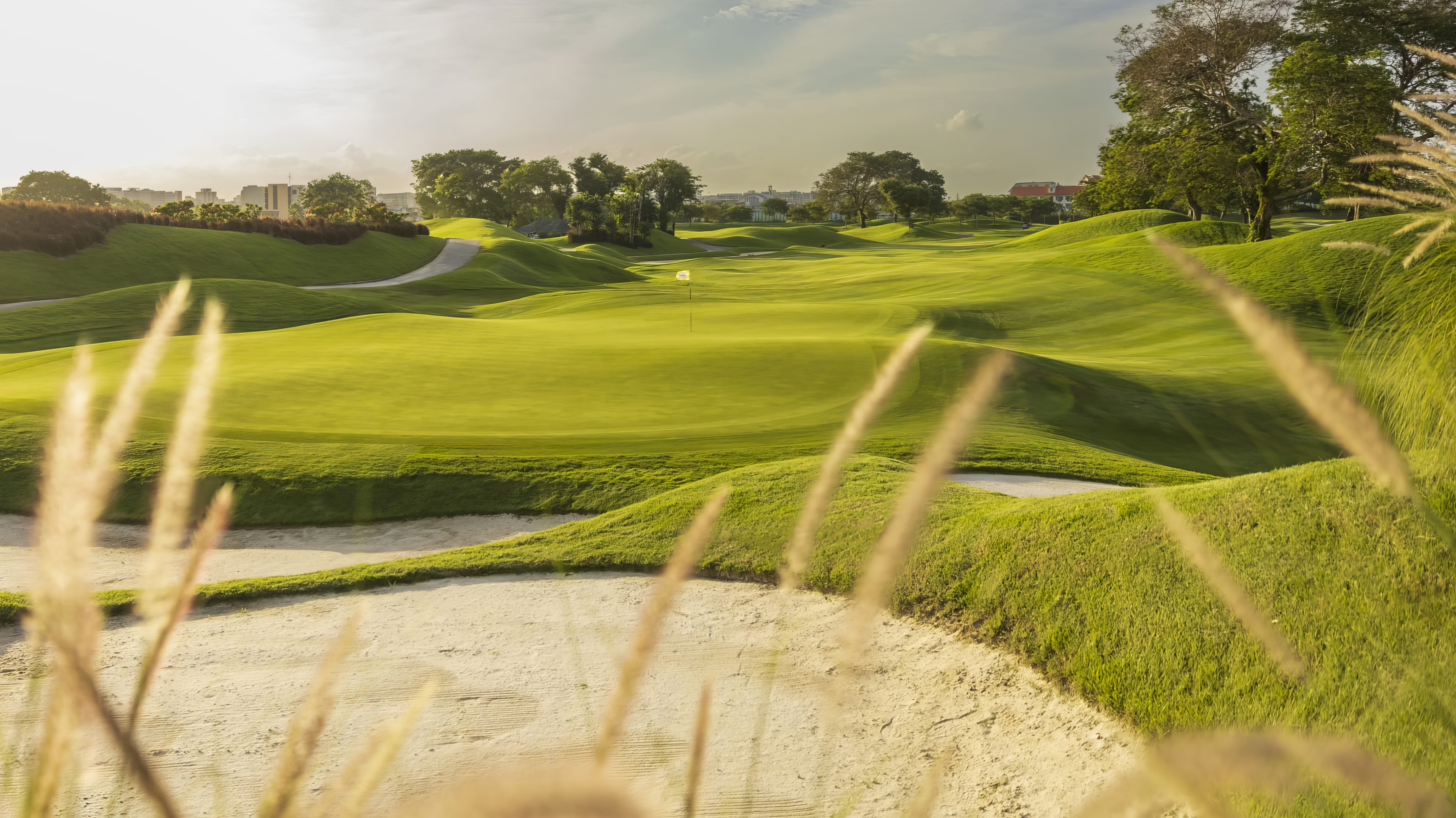 Wellig und wunderschön: Loch 8 Wellig und wunderschön: Loch 8