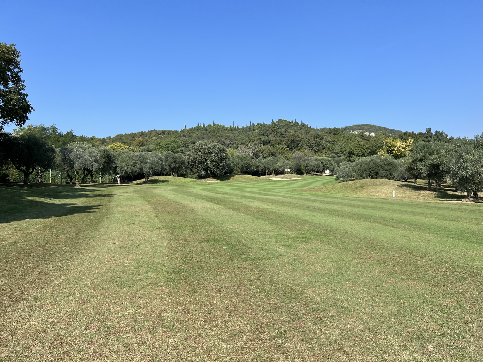 Doglegs erfordern präzises Spiel