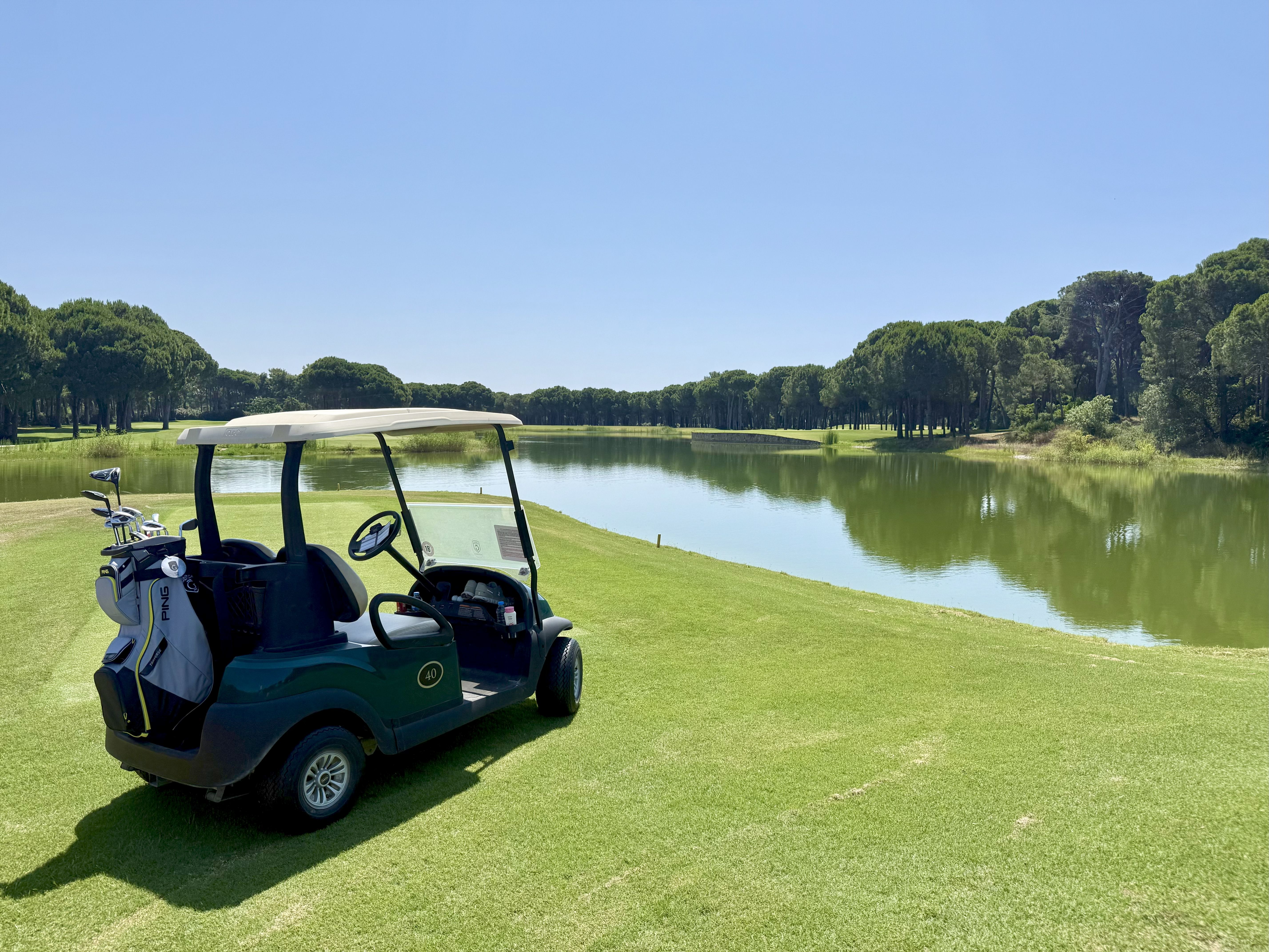 Wer wagt, gewinnt Wer wagt, gewinnt