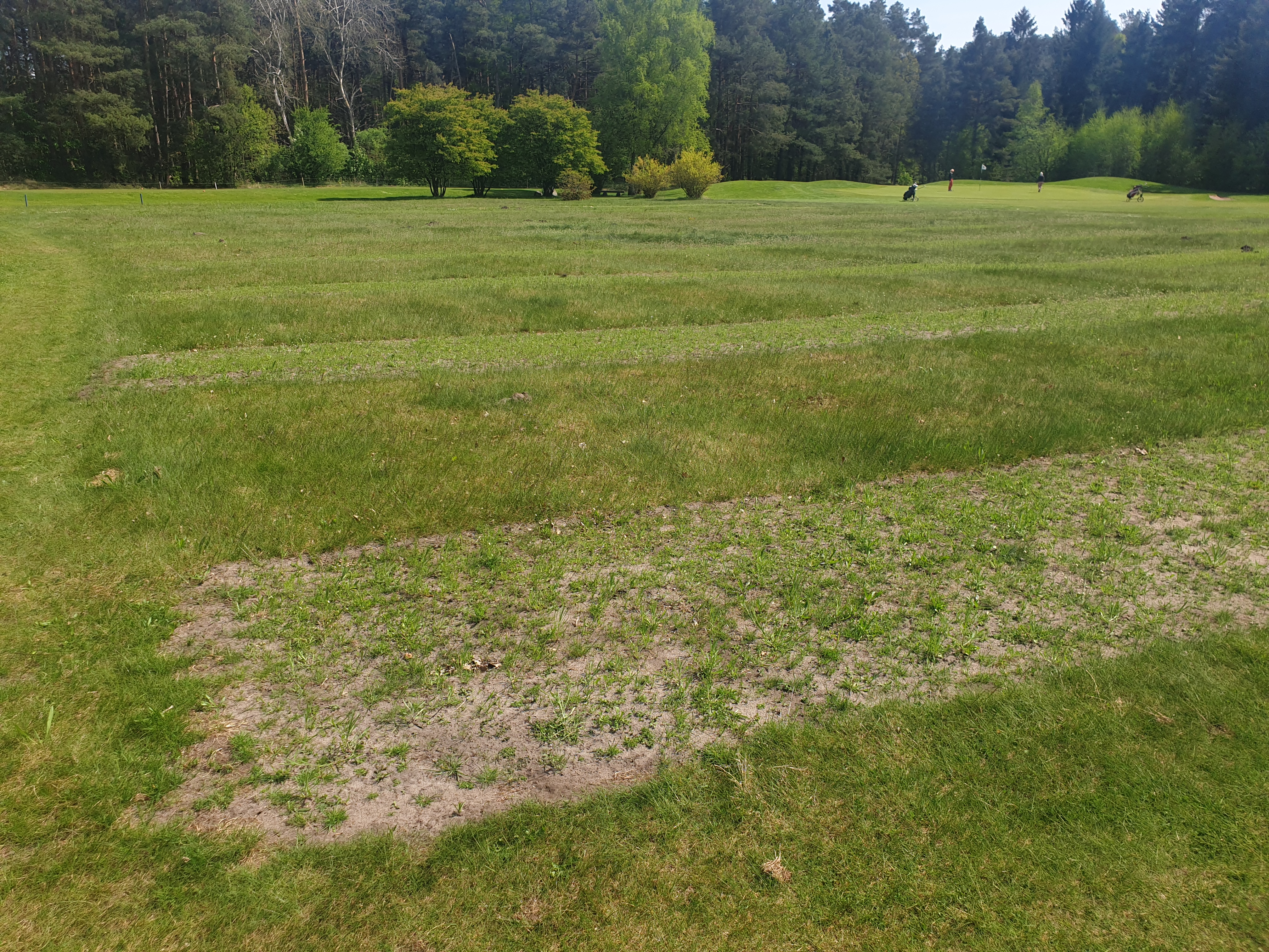 Ansaatflächen Ansaatflächen