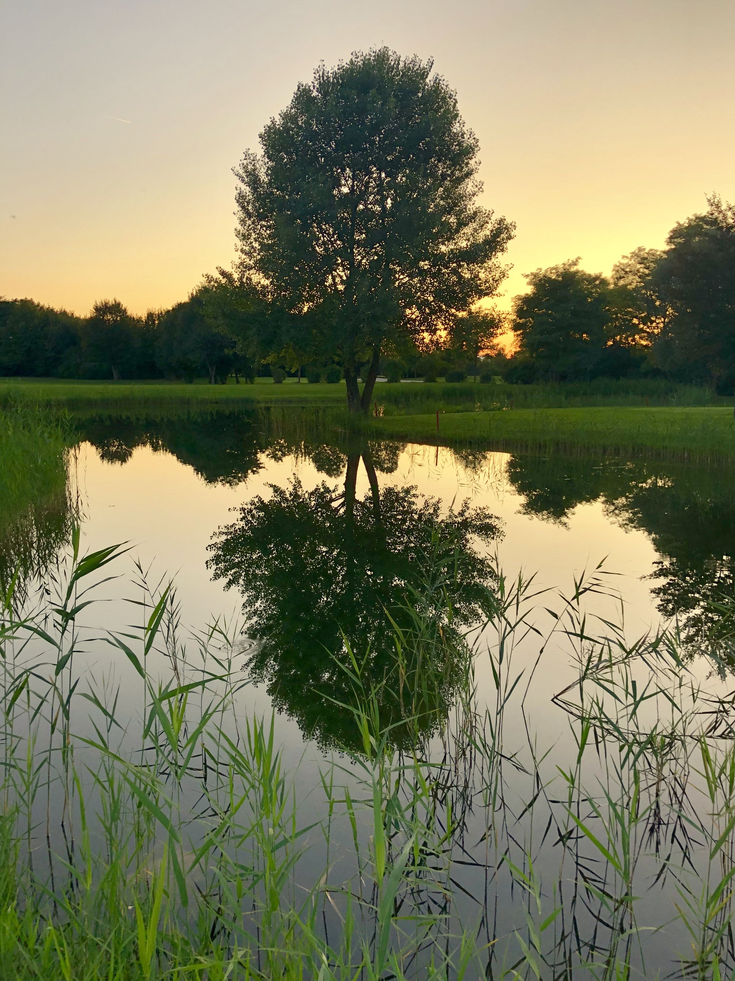 GC Frühling: Auf dem Lake Course sollten Ersatz-Bälle nicht fehlen
