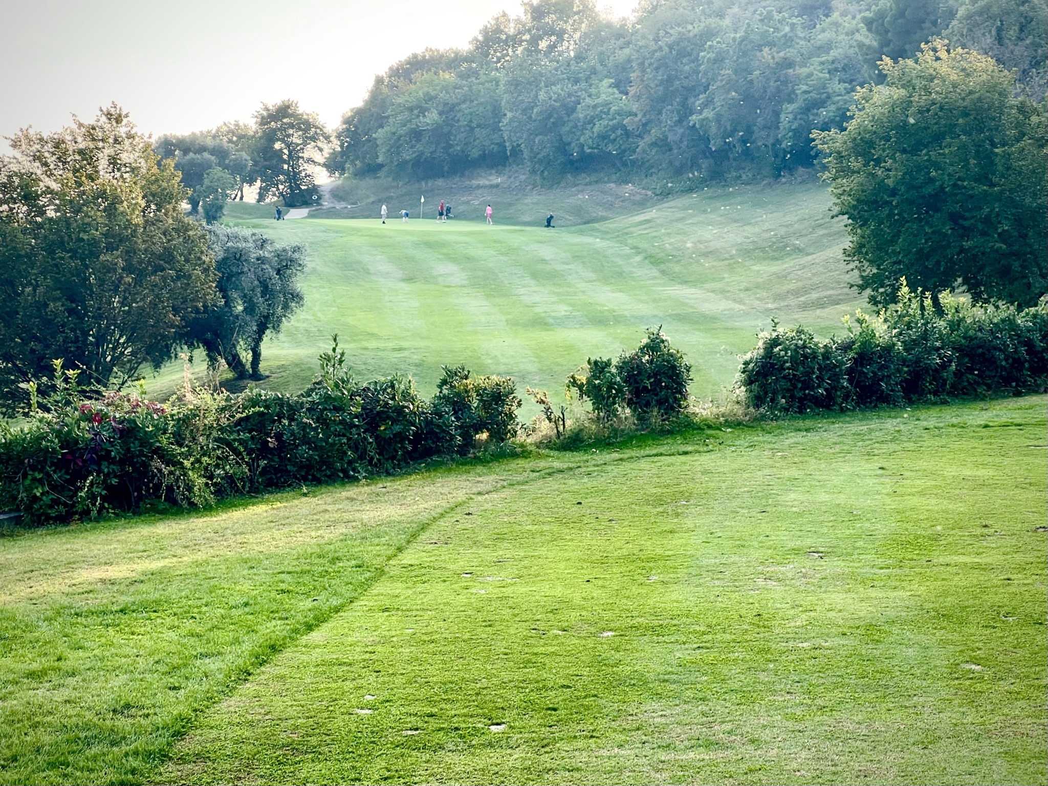 Hecken kreuzen die Fairways