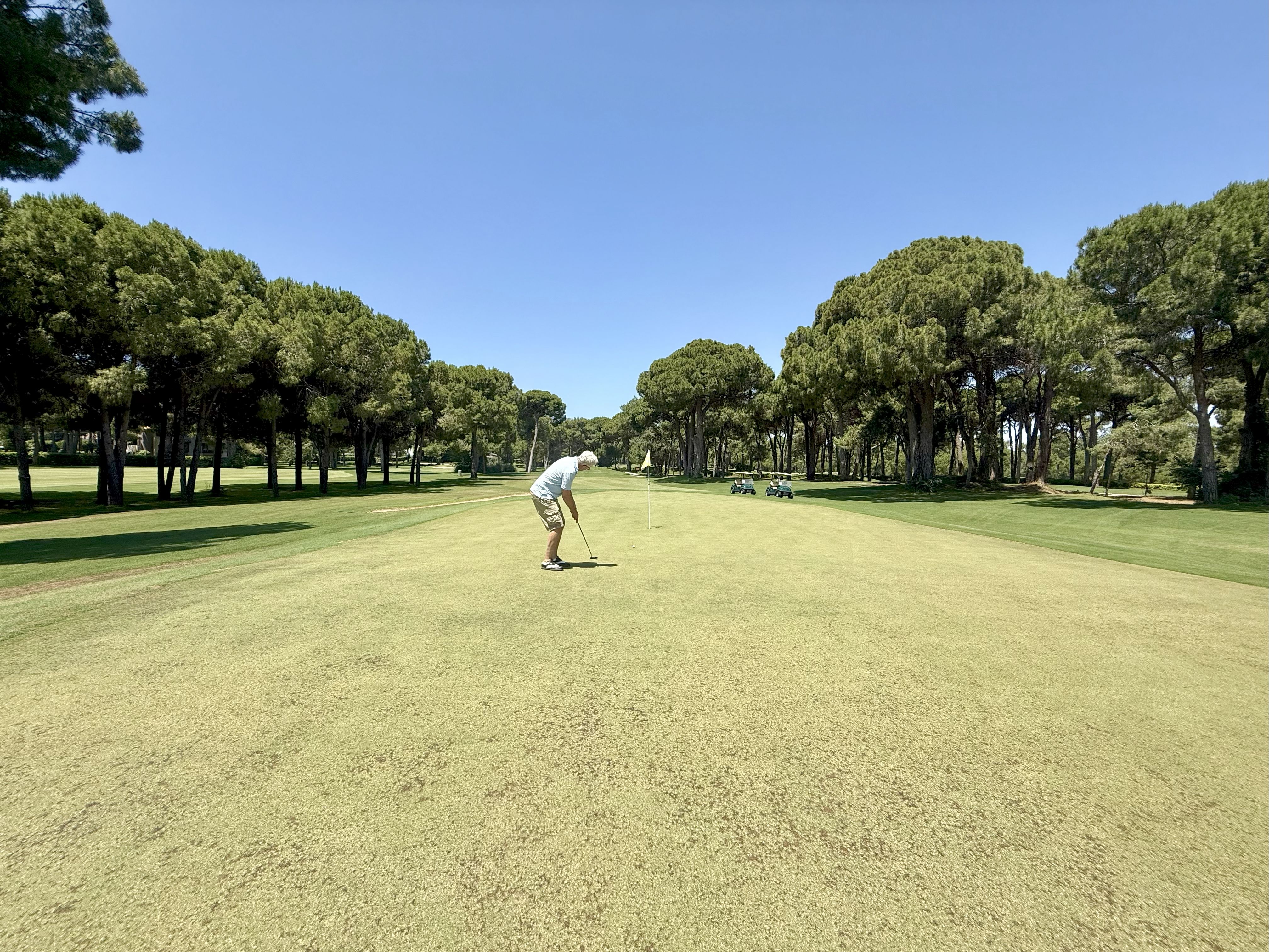 Golf umgeben von Pinien Golf umgeben von Pinien