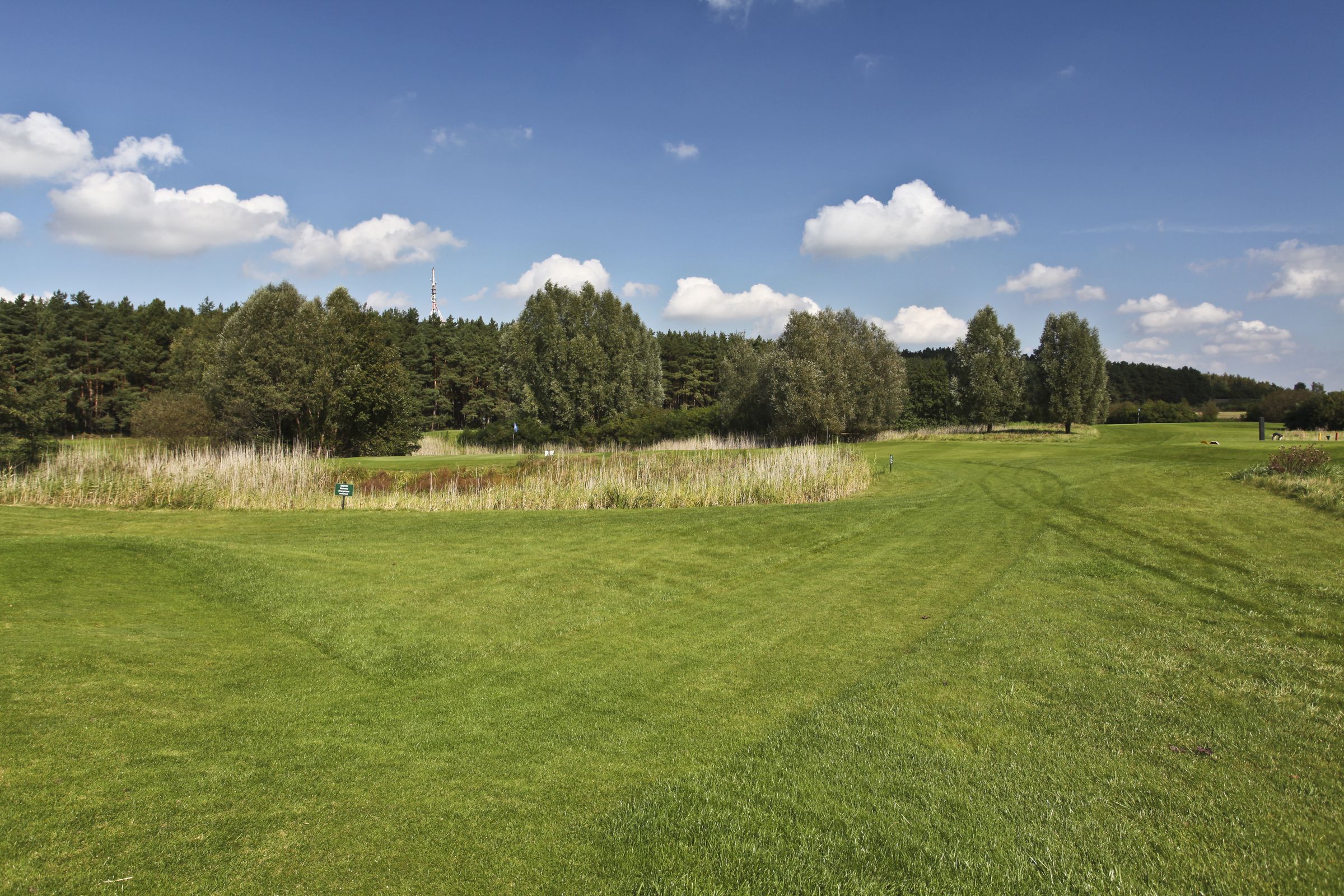 Kurzplatz: Loch 7 Kurzplatz: Loch 7