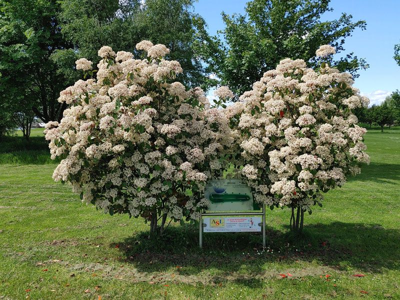 Informationen, dekorativ umrandet Informationen, dekorativ umrandet