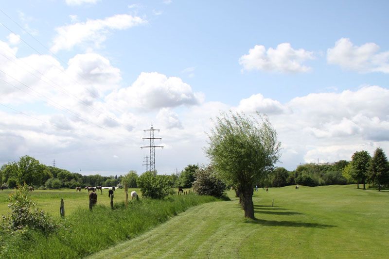 ... mal Idyll mit Pferden ... mal Idyll mit Pferden