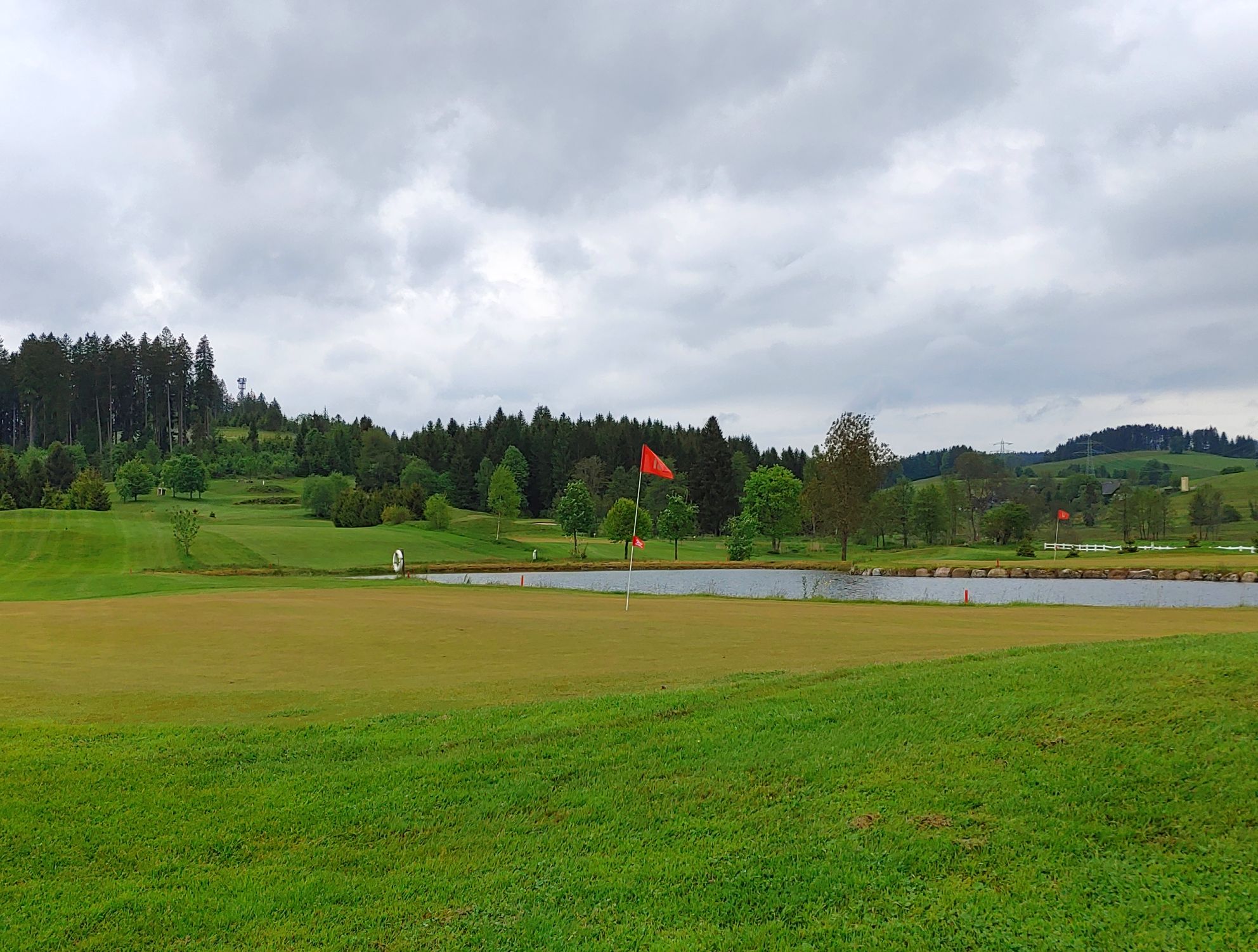 Ein erster Blick: dunkle Tannen, sanfte Hügel Ein erster Blick: dunkle Tannen, sanfte Hügel