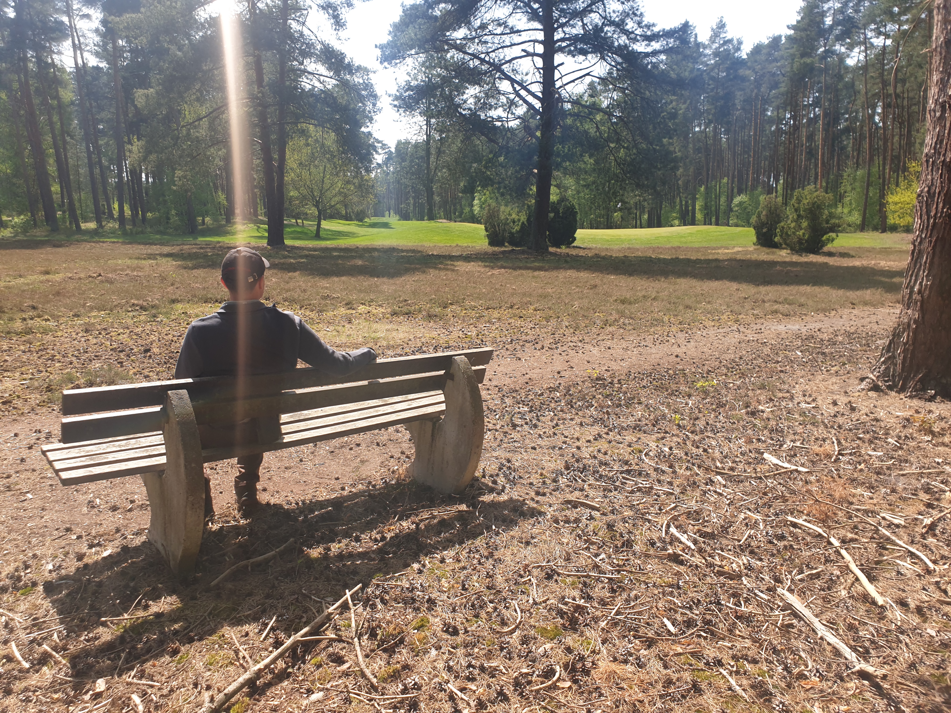 Seltener Anblick: Steinhauser auf Lieblingsbank Seltener Anblick: Steinhauser auf Lieblingsbank