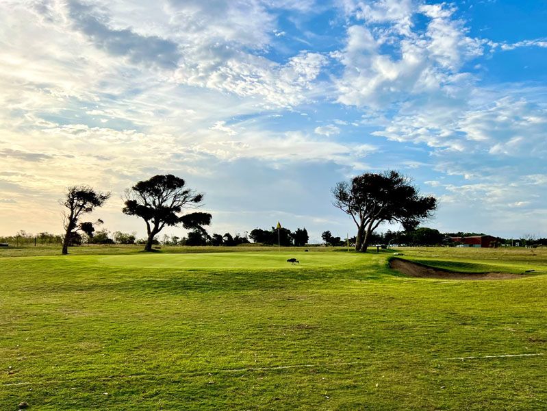 Landestypische Bäume am Grün Landestypische Bäume am Grün