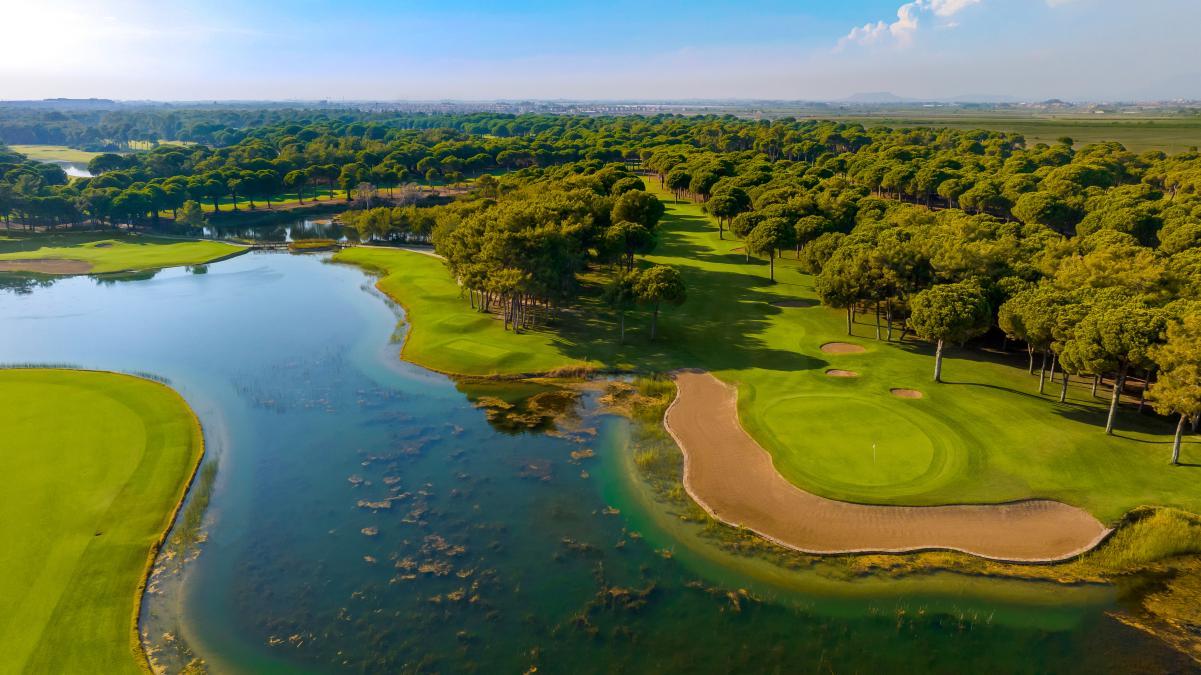 Golfen im Pinienwald