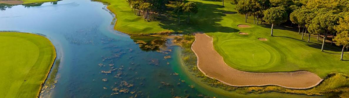Golfen im Pinienwald Golfen im Pinienwald